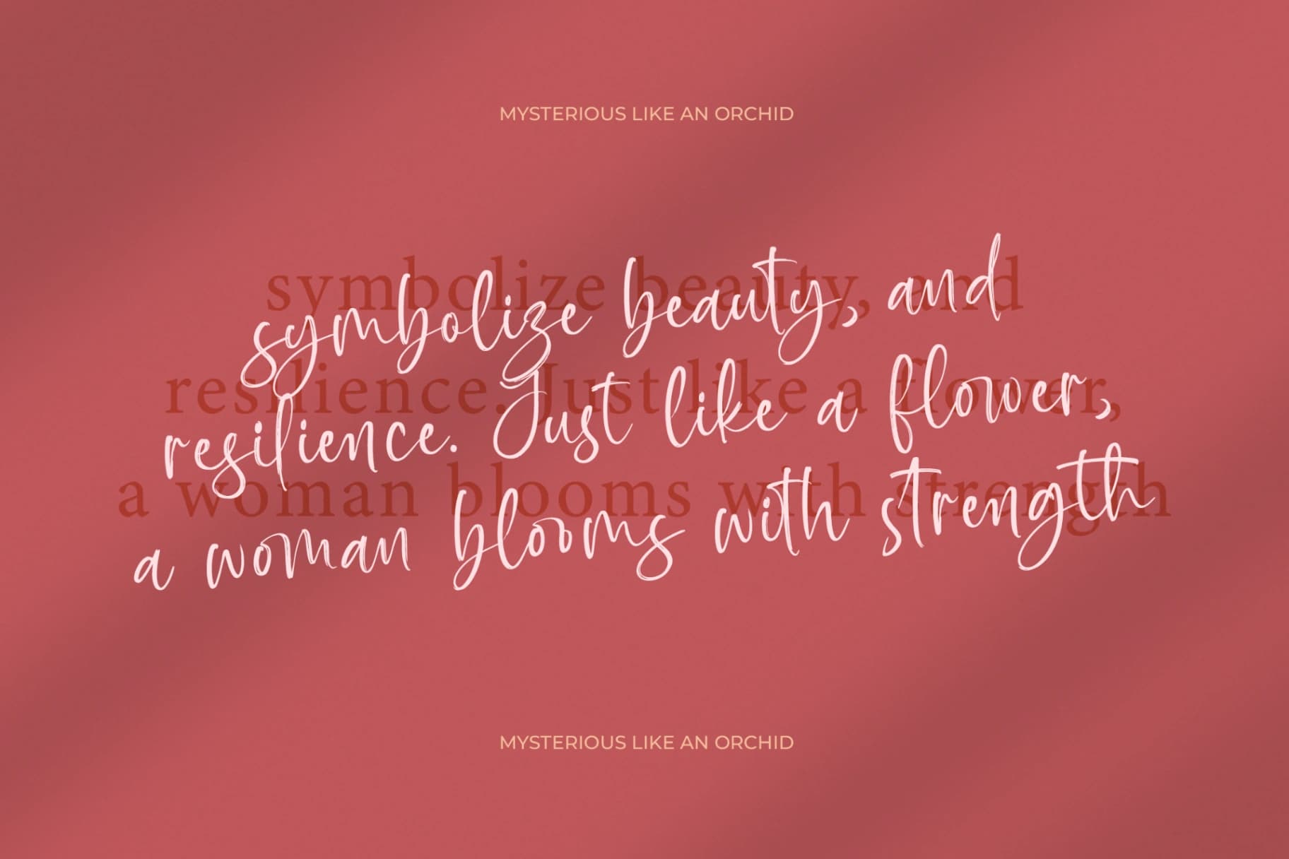 Preview 5 for Baplosy Startera - Bold Brush Font