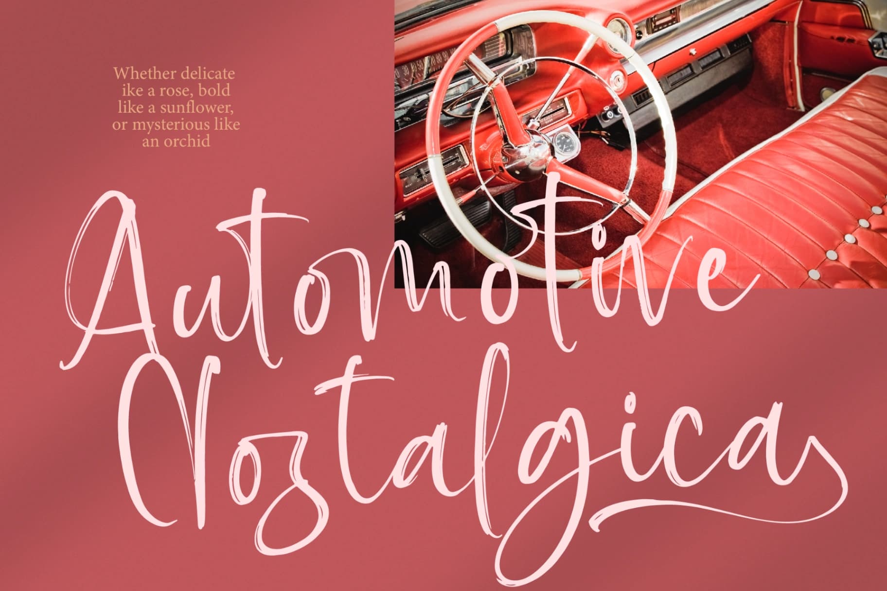 Preview 9 for Baplosy Startera - Bold Brush Font