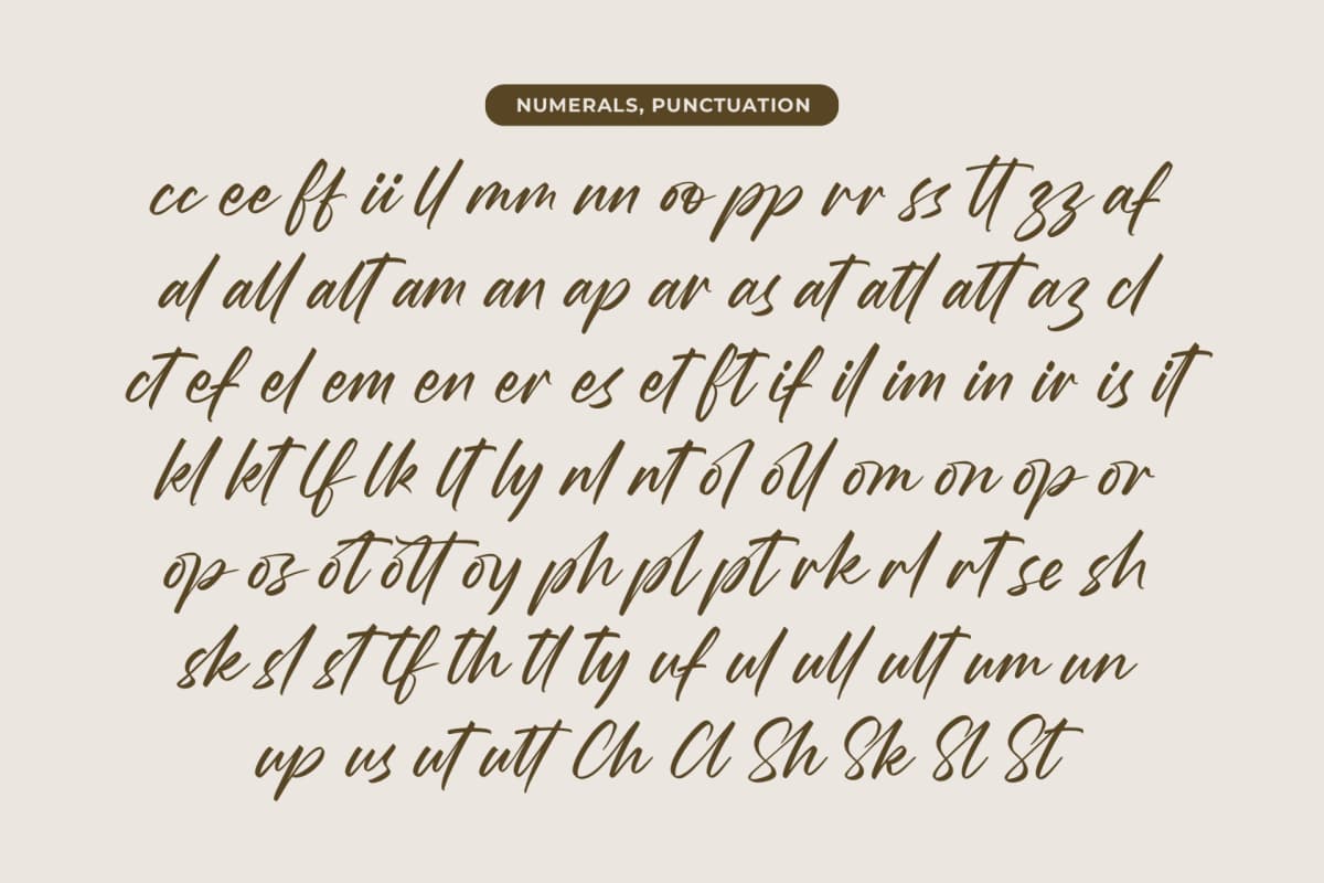 Preview 18 for Wystine Esphelta - Modern Brush Font