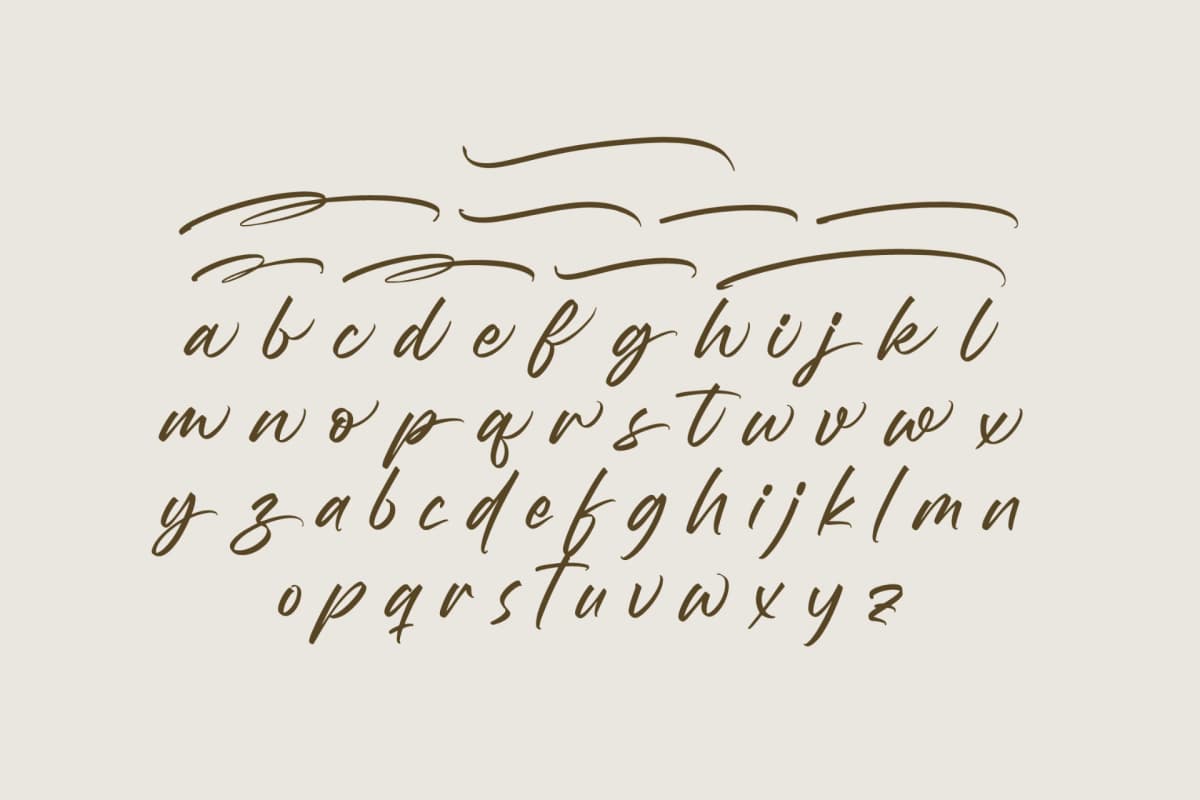 Preview 14 for Wystine Esphelta - Modern Brush Font
