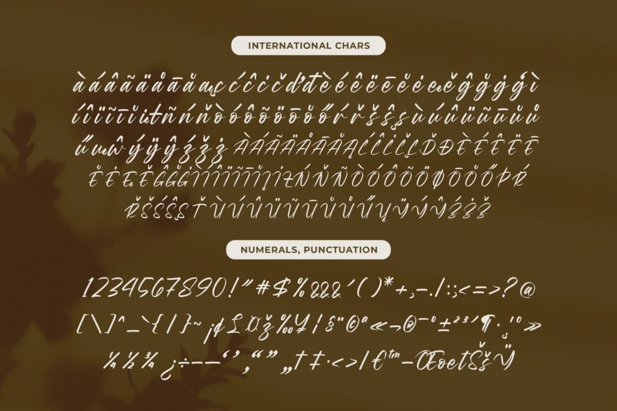 Preview 19 for Wystine Esphelta - Modern Brush Font