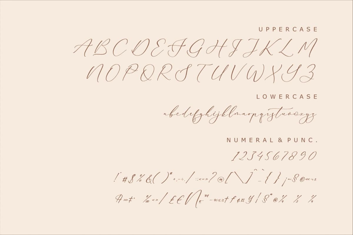 Bidalari Hearter - Beautiful Script Font font preview 13