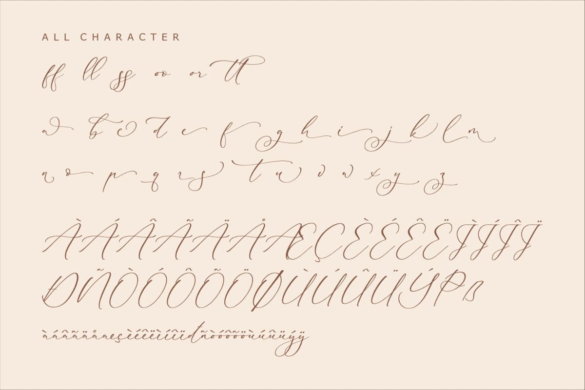 Bidalari Hearter - Beautiful Script Font font preview 14