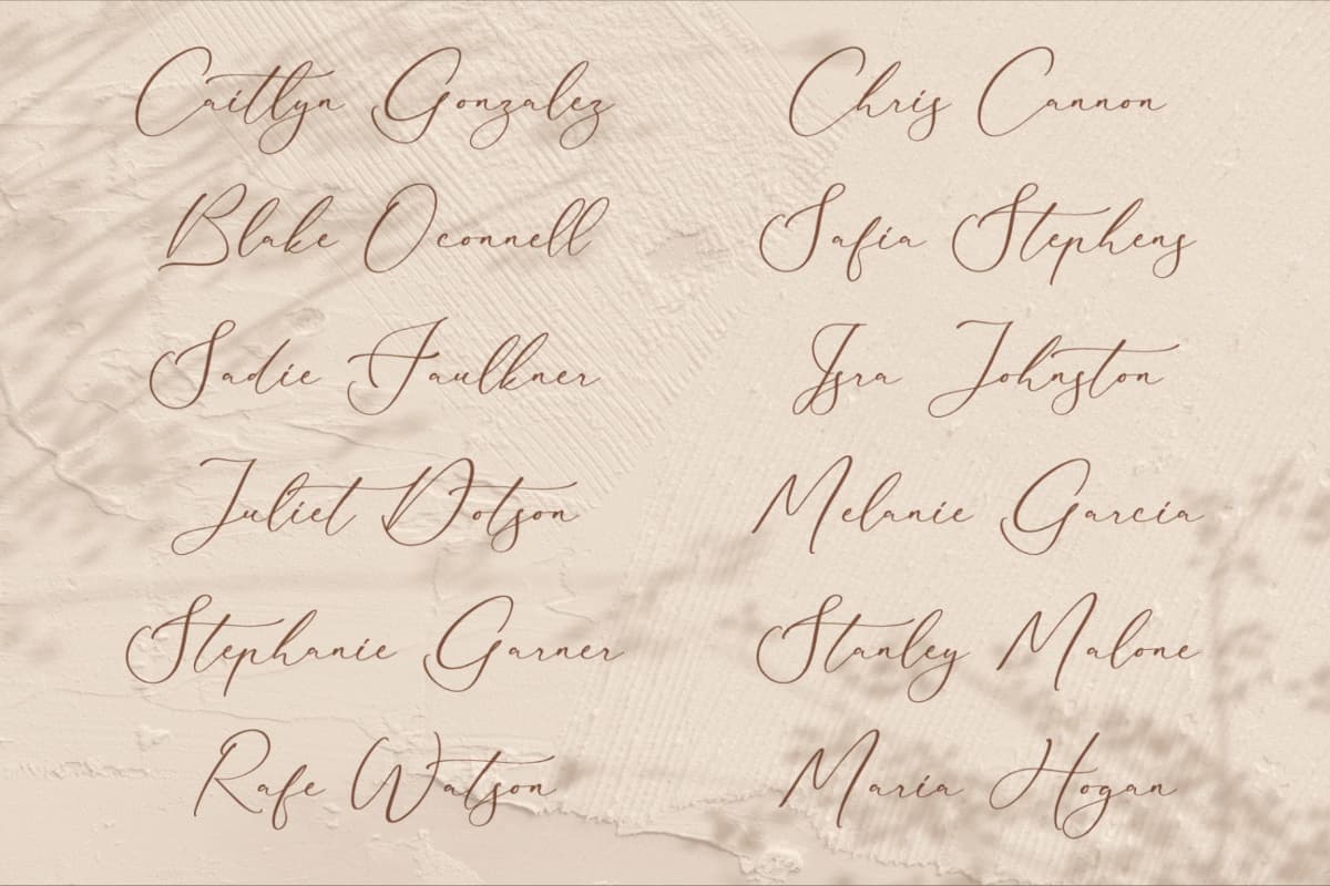 Bidalari Hearter - Beautiful Script Font font preview 11