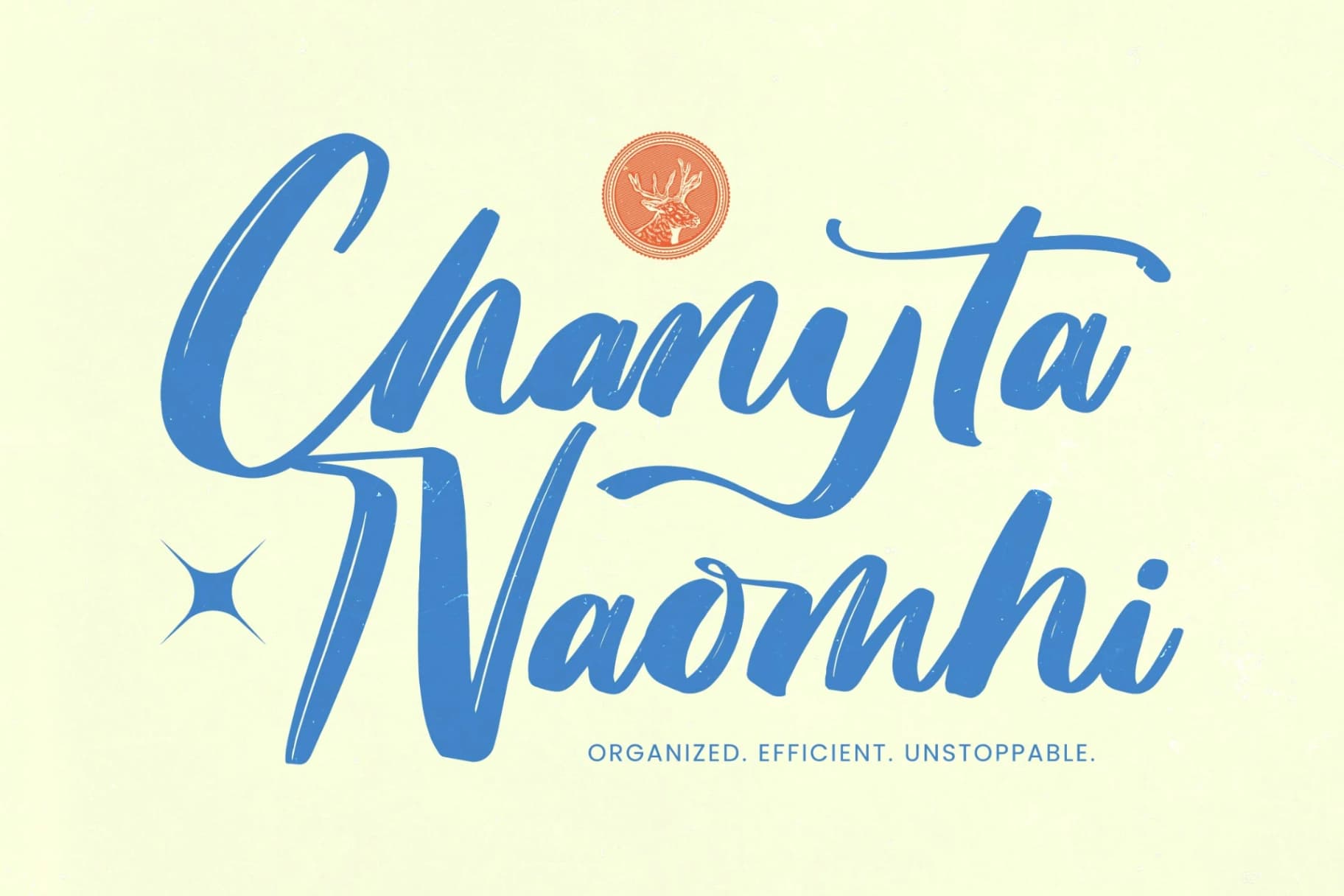 Preview 18 for Skanika - Bold Handwritten Font
