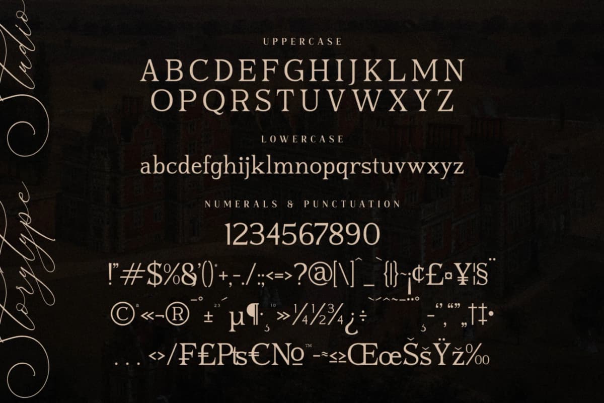 Preview 14 for Blusvery - Modern Stylish Serif Font