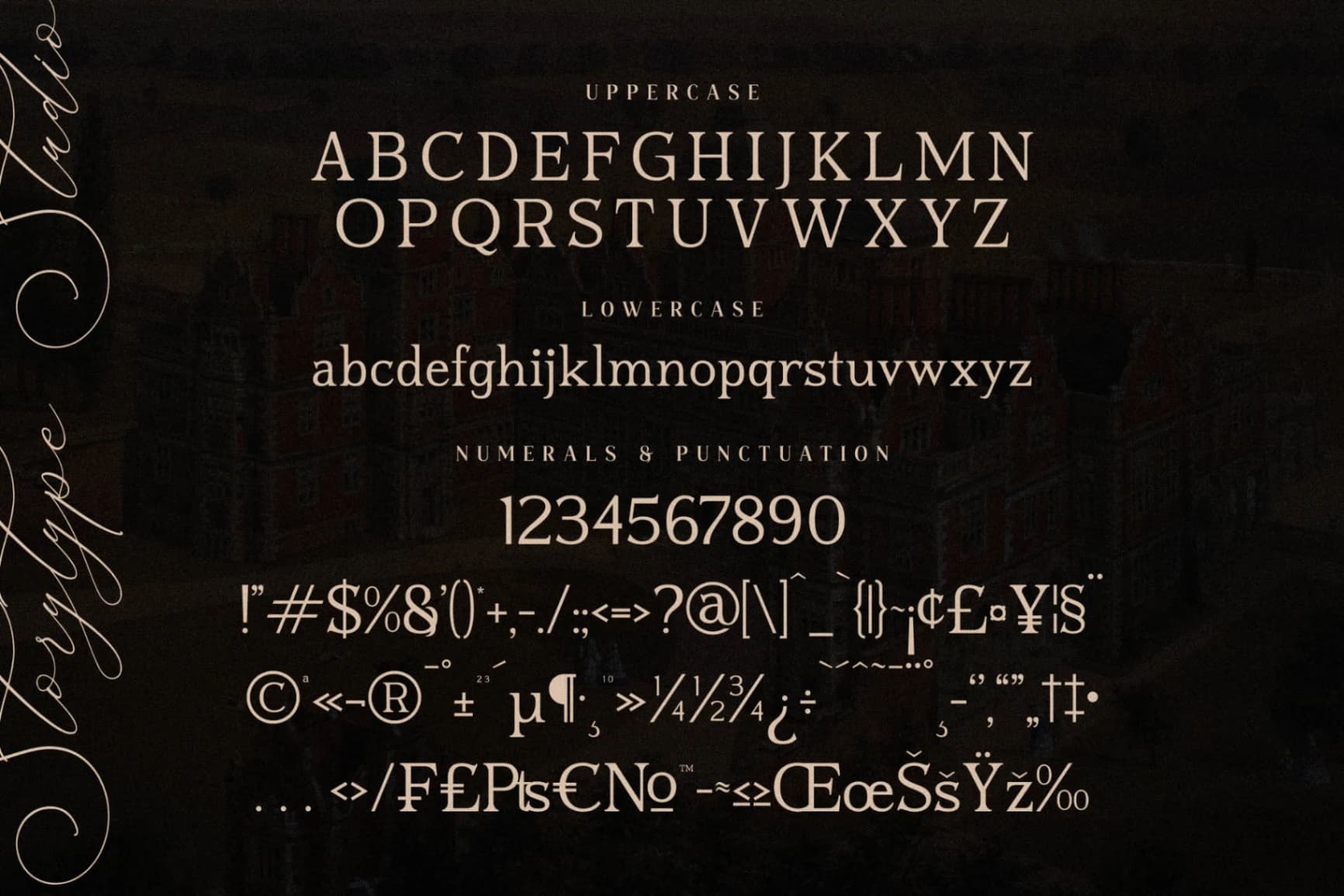 Preview 14 for Blusvery - Modern Stylish Serif Font