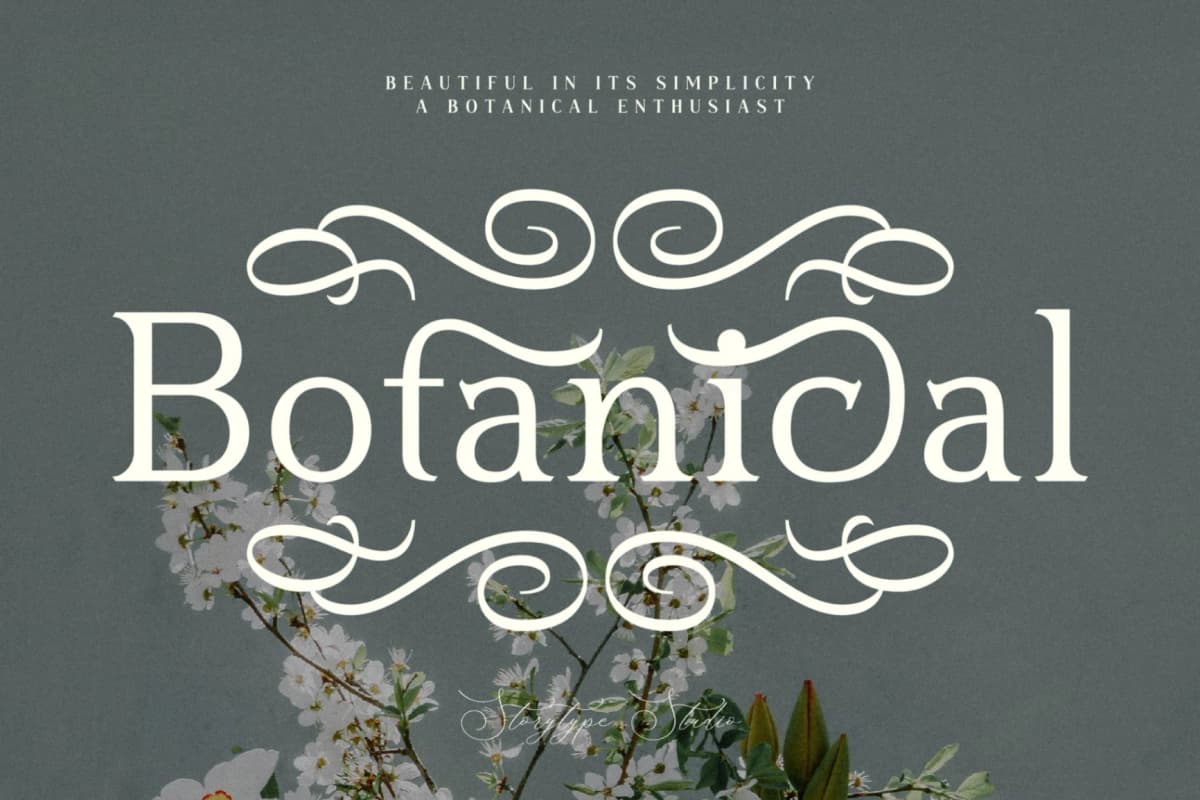 Preview 7 for Blusvery - Modern Stylish Serif Font