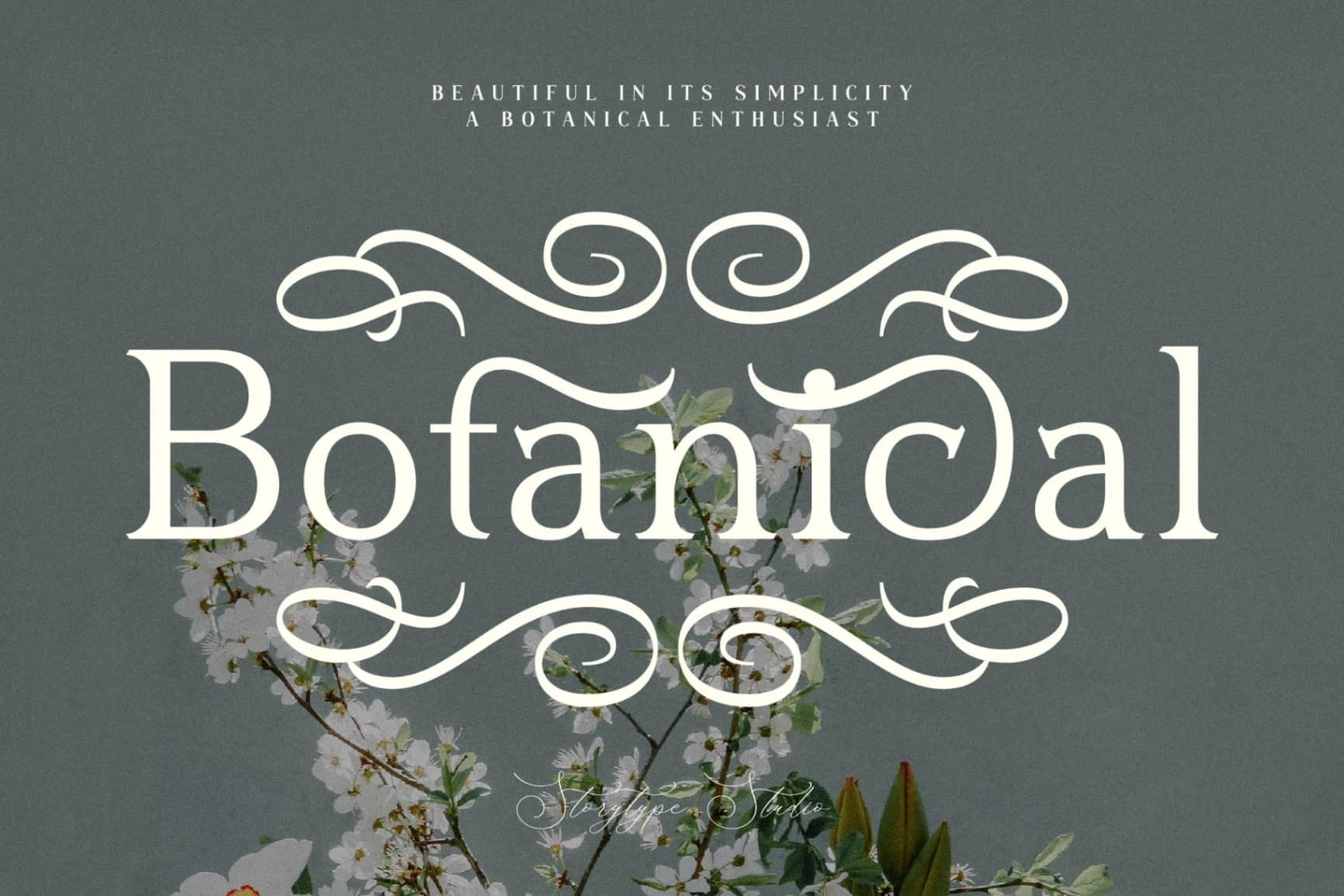 Preview 7 for Blusvery - Modern Stylish Serif Font