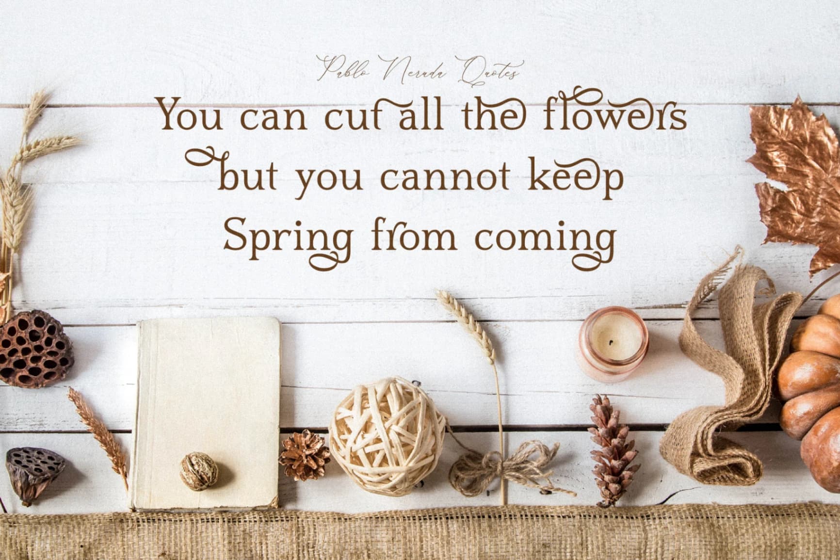 Preview 4 for Blusvery - Modern Stylish Serif Font