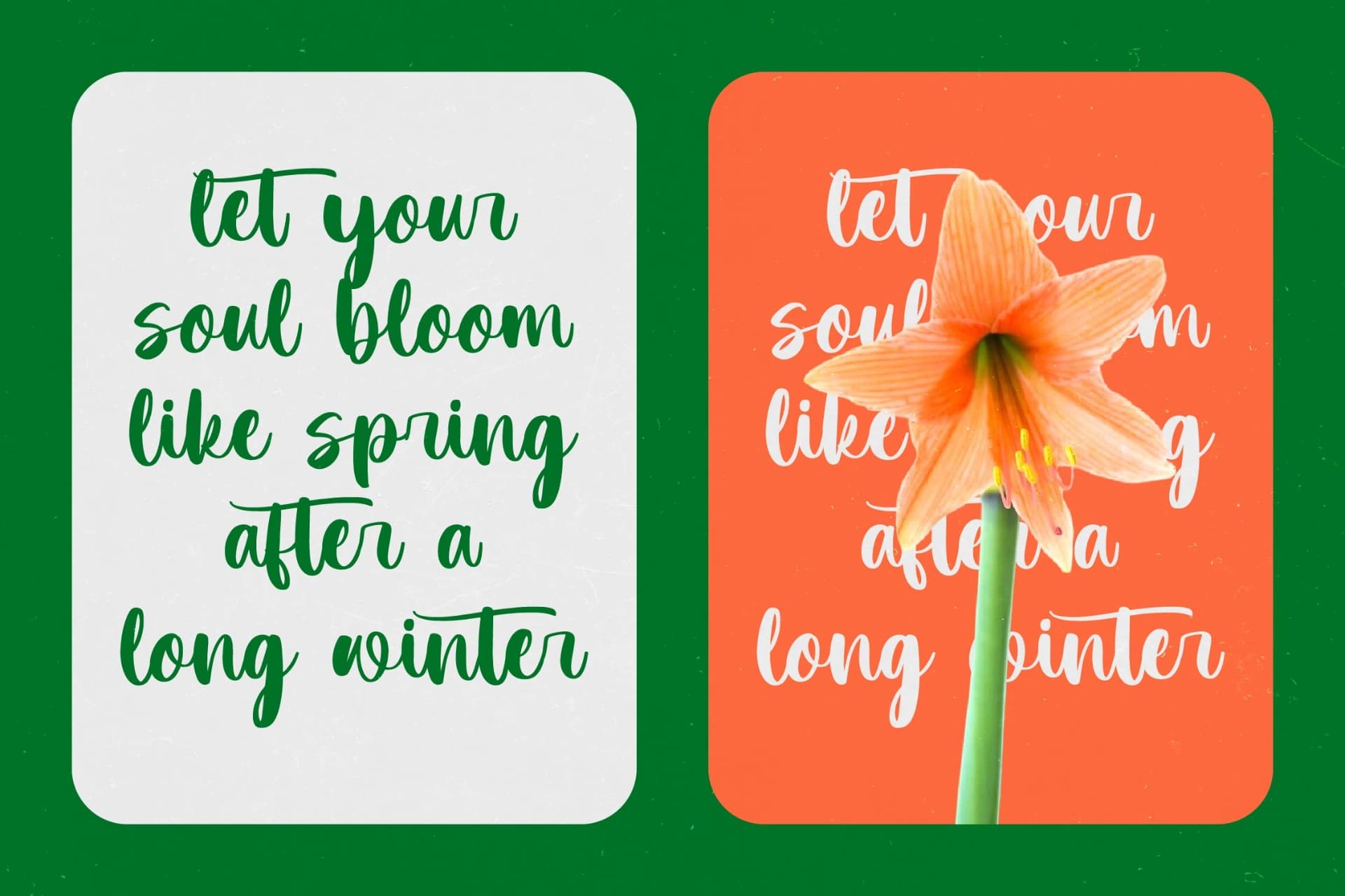 Preview 15 for Practice Snack - Bold Handwritten Font