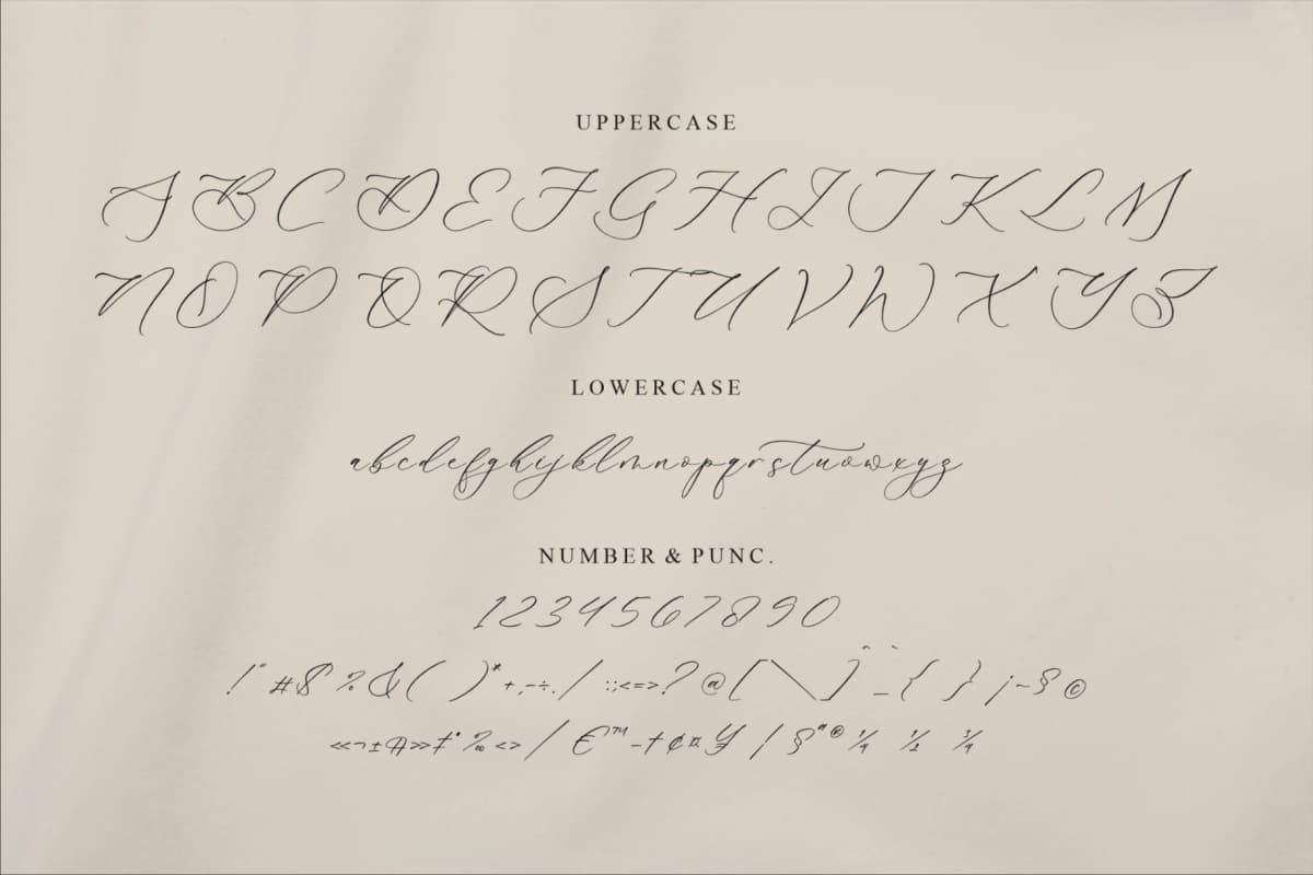 Preview 13 for Gladioss Feather - Luxury Script Font