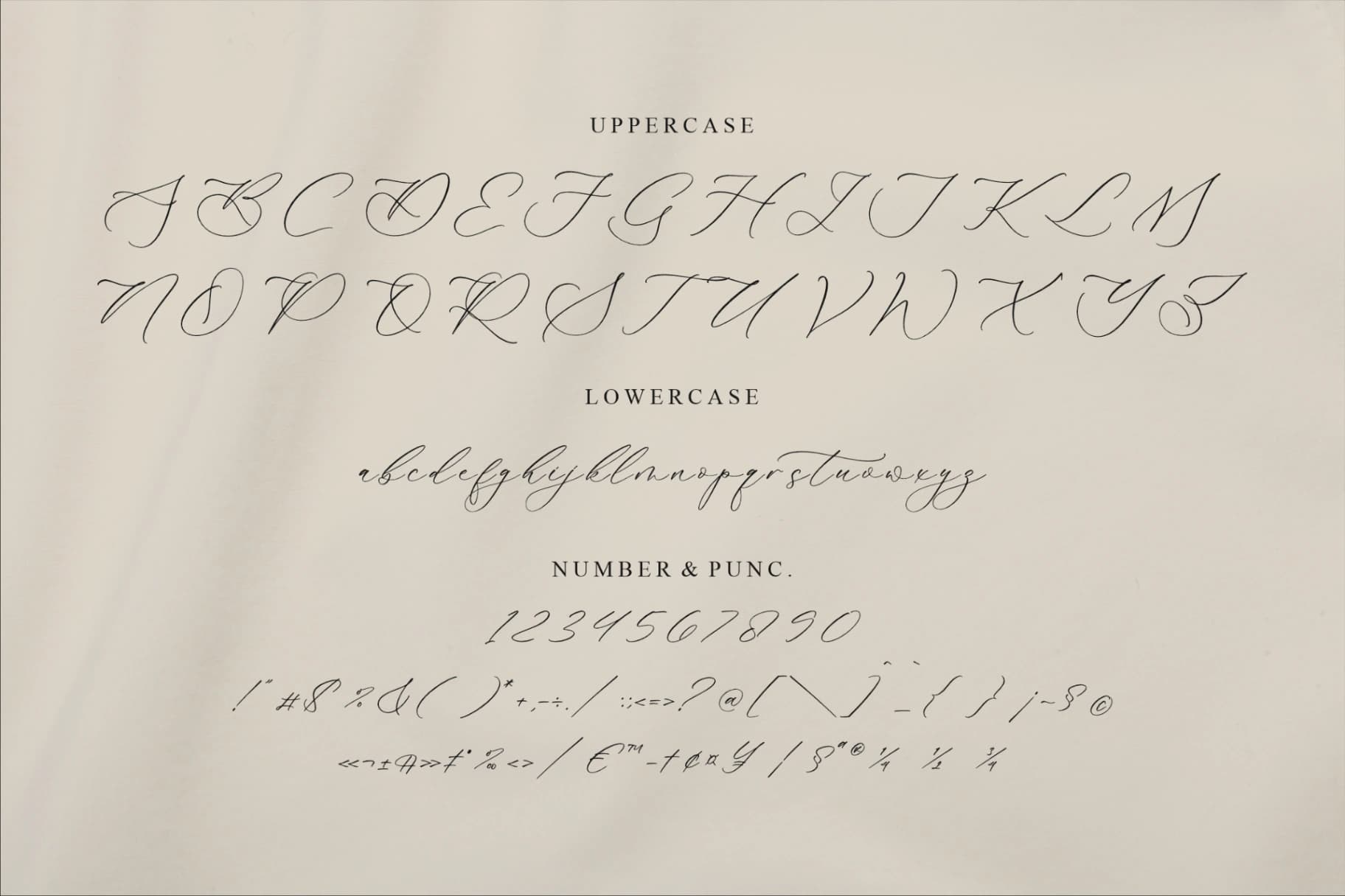 Preview 13 for Gladioss Feather - Luxury Script Font
