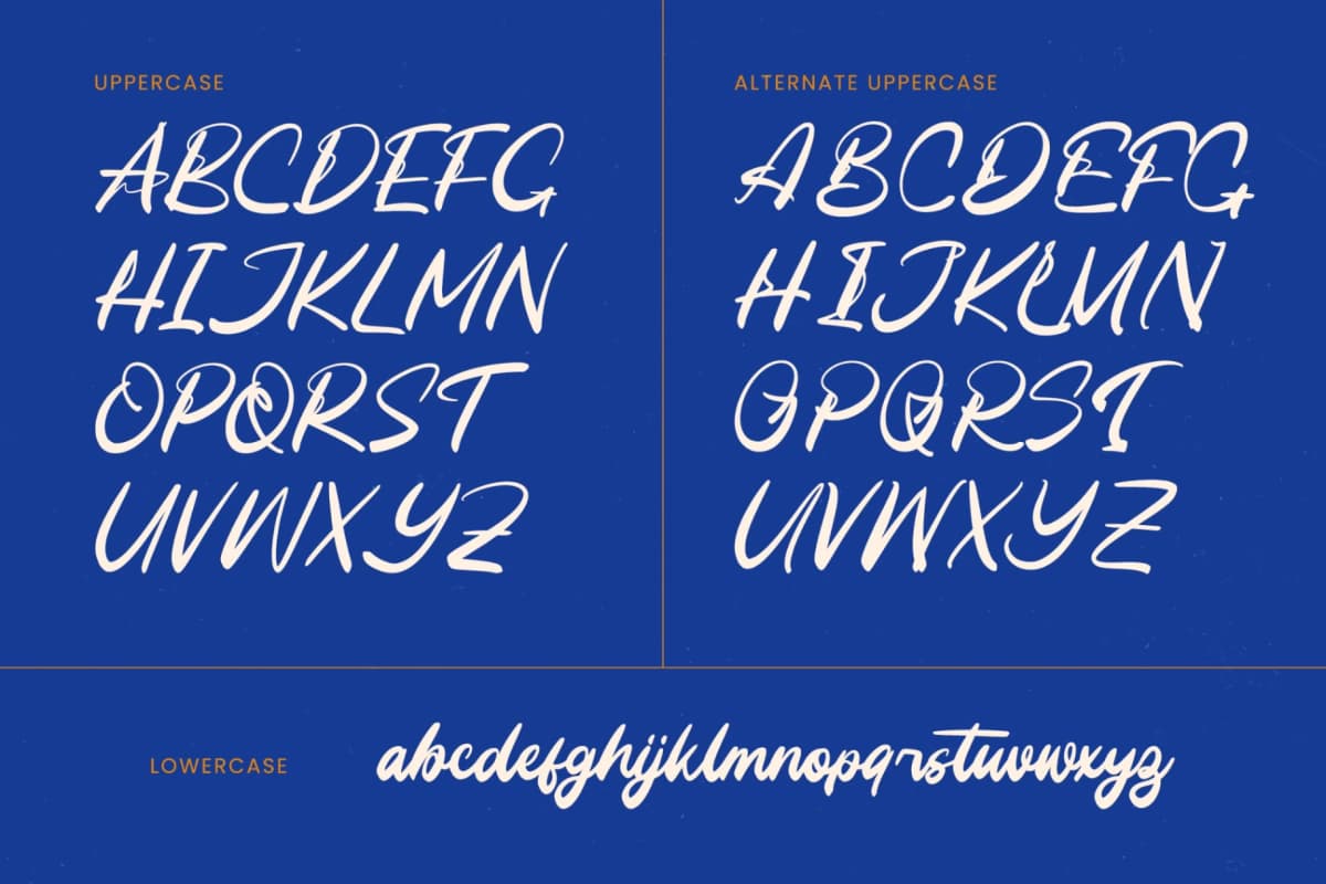 Preview 17 for Unlatch Skater - Bold Brush Font