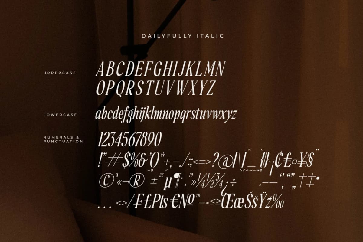 Dailyfully - A Modern Serif Font font preview 14