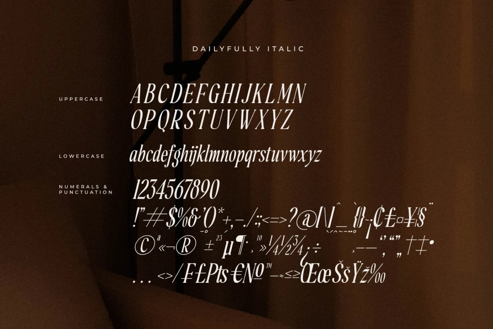 Preview 14 for Dailyfully - A Modern Serif Font