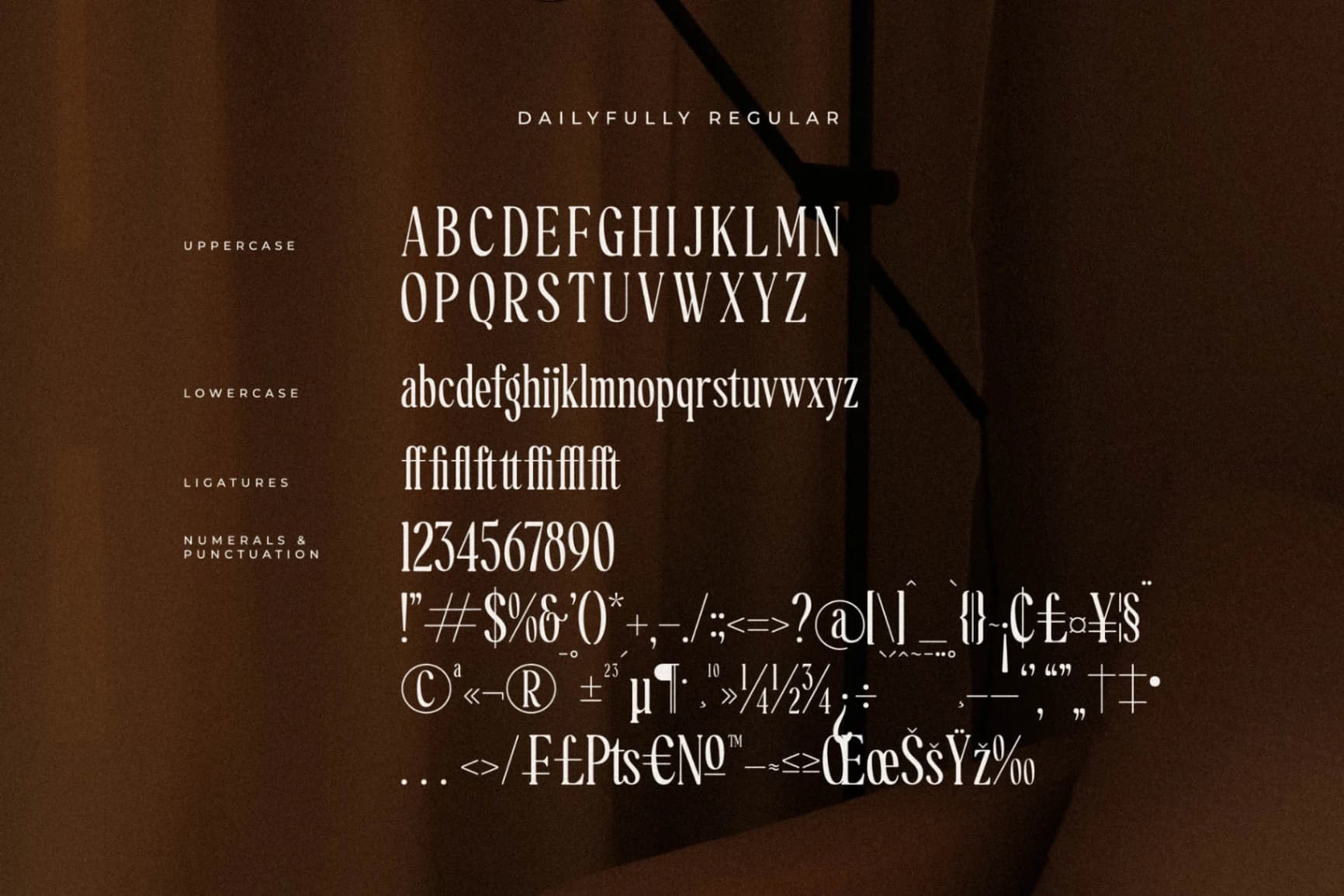 Preview 13 for Dailyfully - A Modern Serif Font