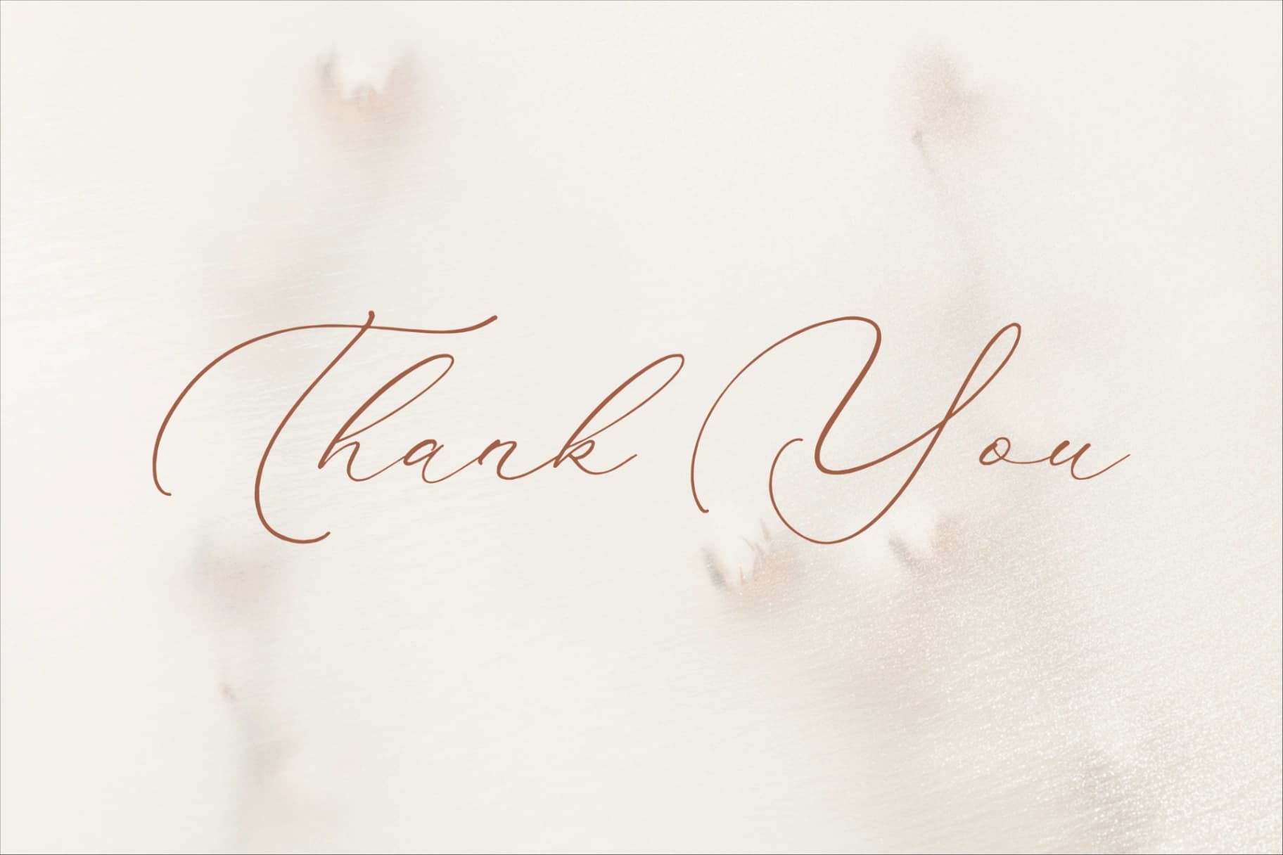 Preview 15 for Madyntha Geradine - Chic Calligraphy Font