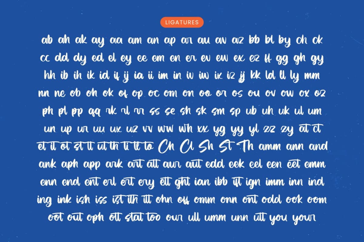 Factual Reality - Modern Brush Font font preview 18