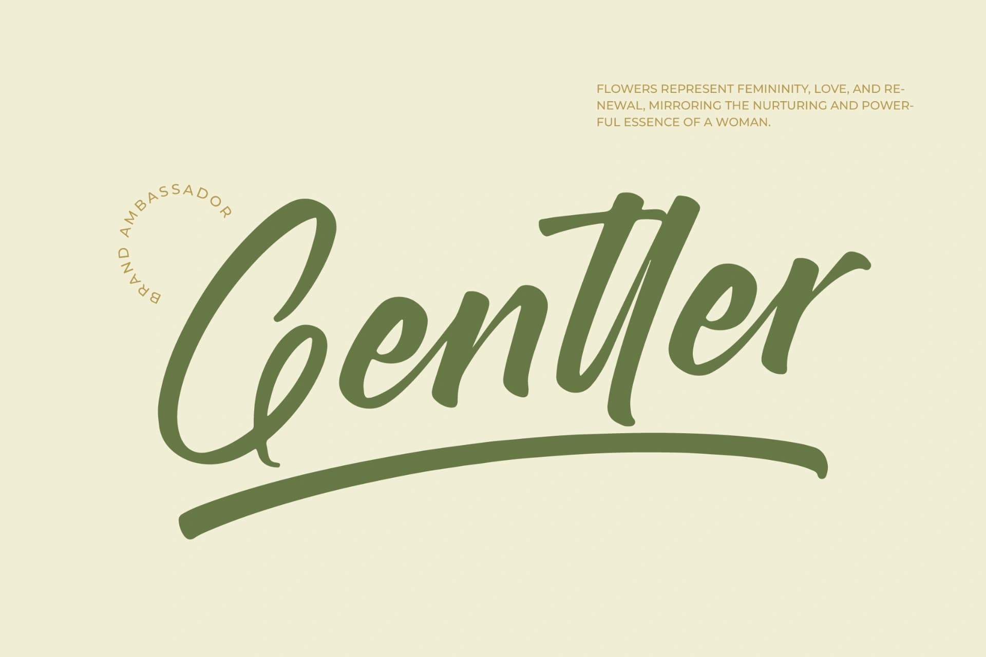 Preview 4 for Brighten Shootters - Modern Script Font