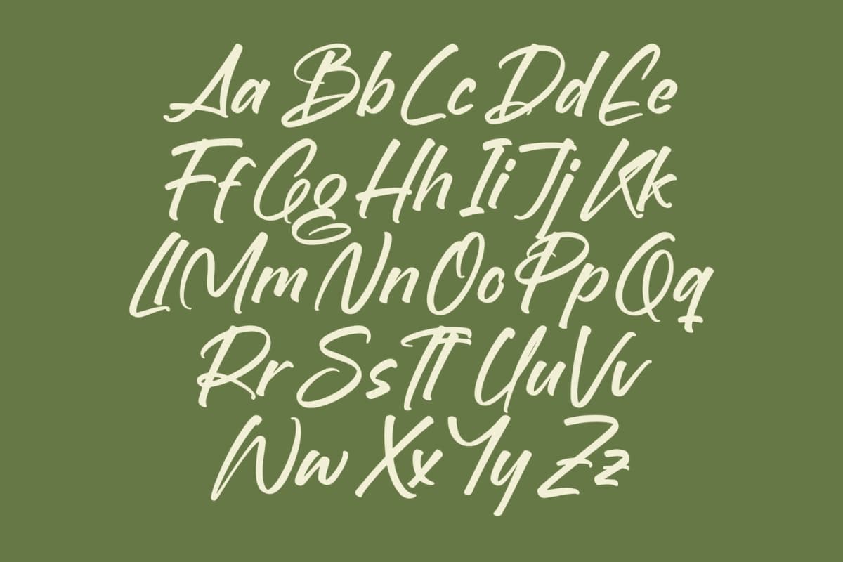 Brighten Shootters - Modern Script Font font preview 15