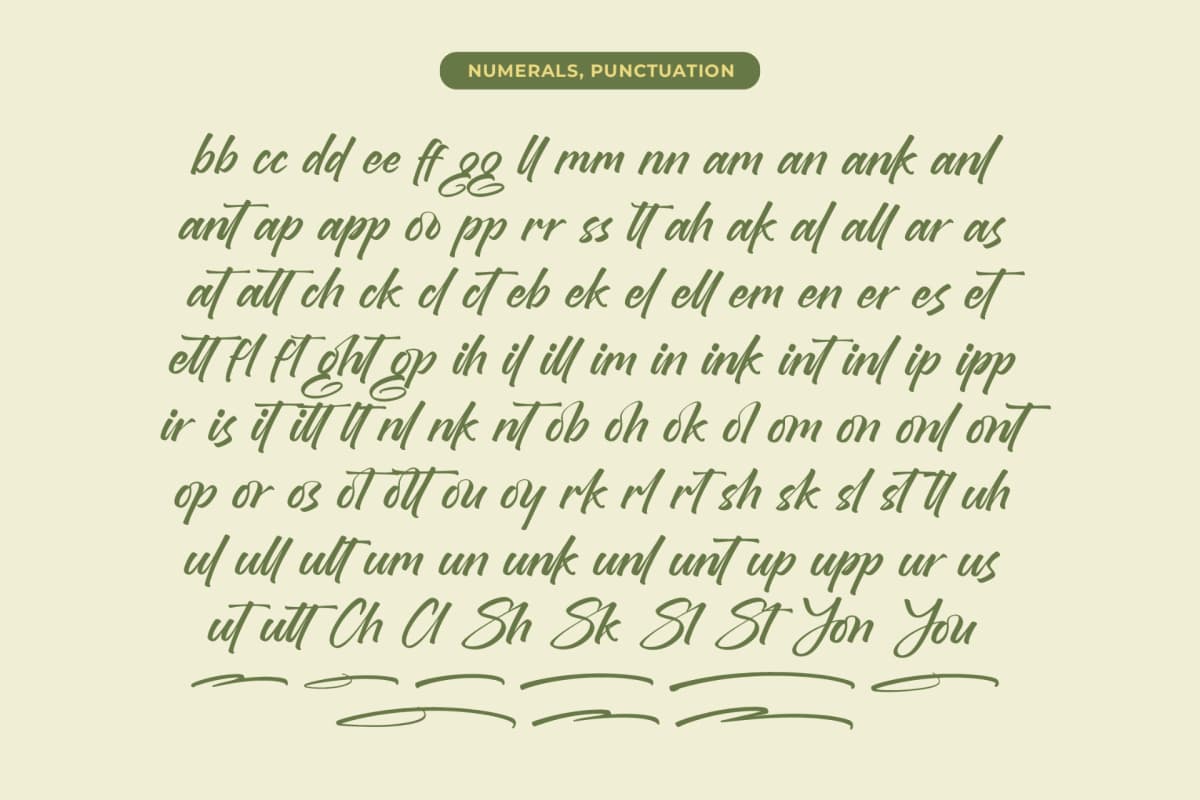 Brighten Shootters - Modern Script Font font preview 18