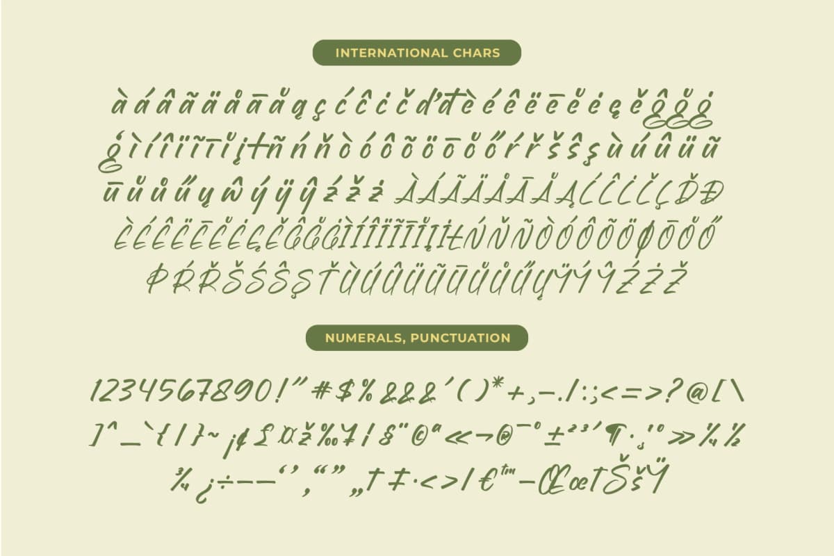 Preview 19 for Brighten Shootters - Modern Script Font
