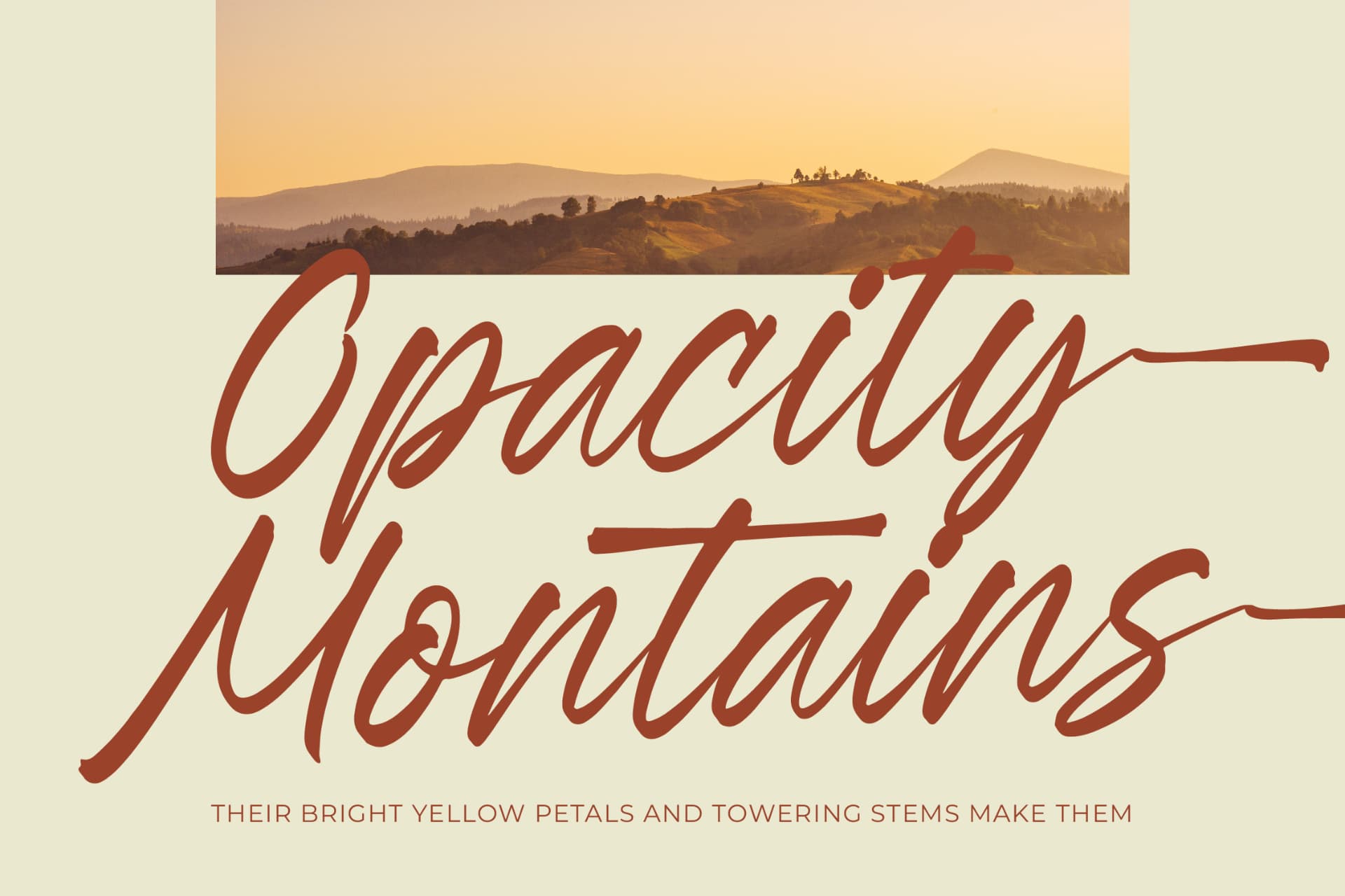Preview 12 for Esylon Sparted - Bold Brush Type Font