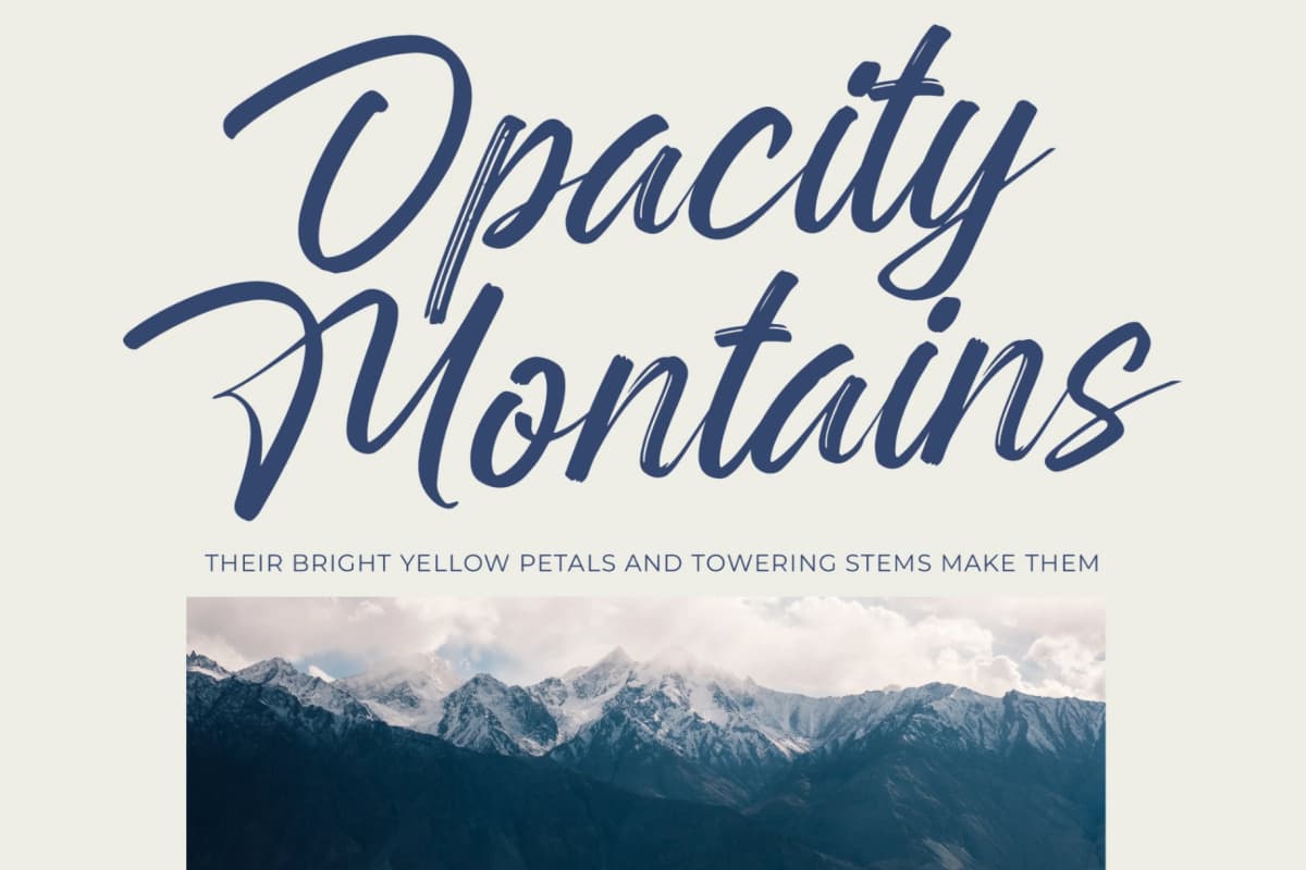 Rangdak Morattes - Bold Brush Type Font font preview 11