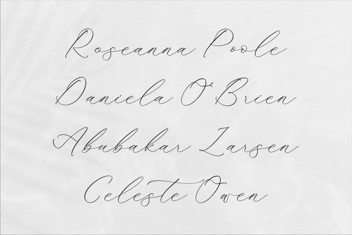 Harttenly Mondise - Luxury Script Font font preview 10