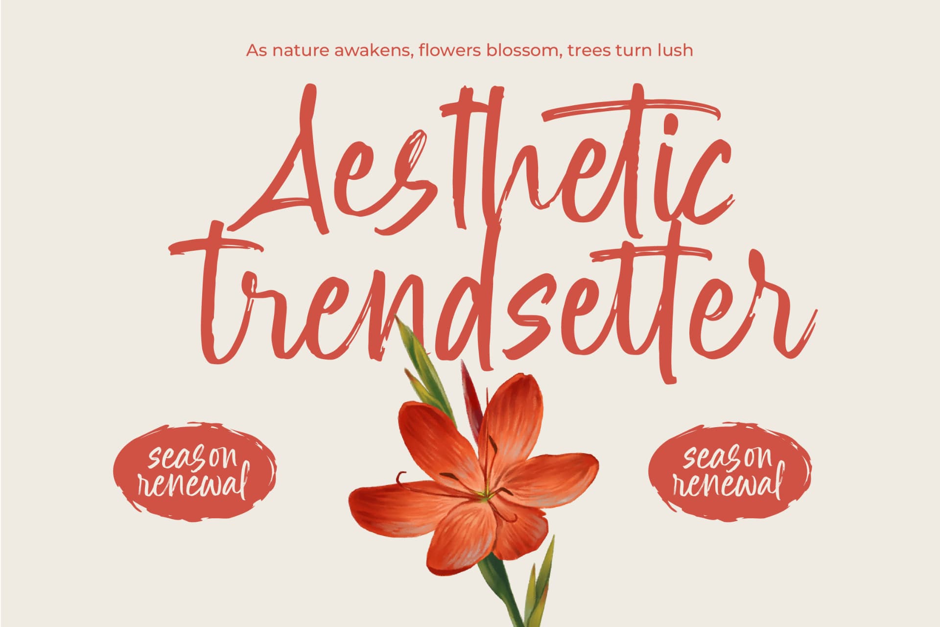 Preview 9 for Erottage Jhitaleon - Modern Brush Font Type