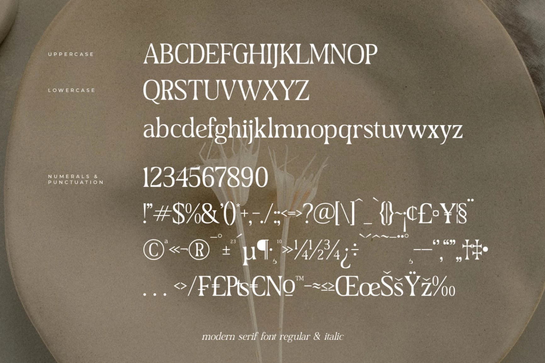 Preview 13 for Dairing - Modern Serif Font