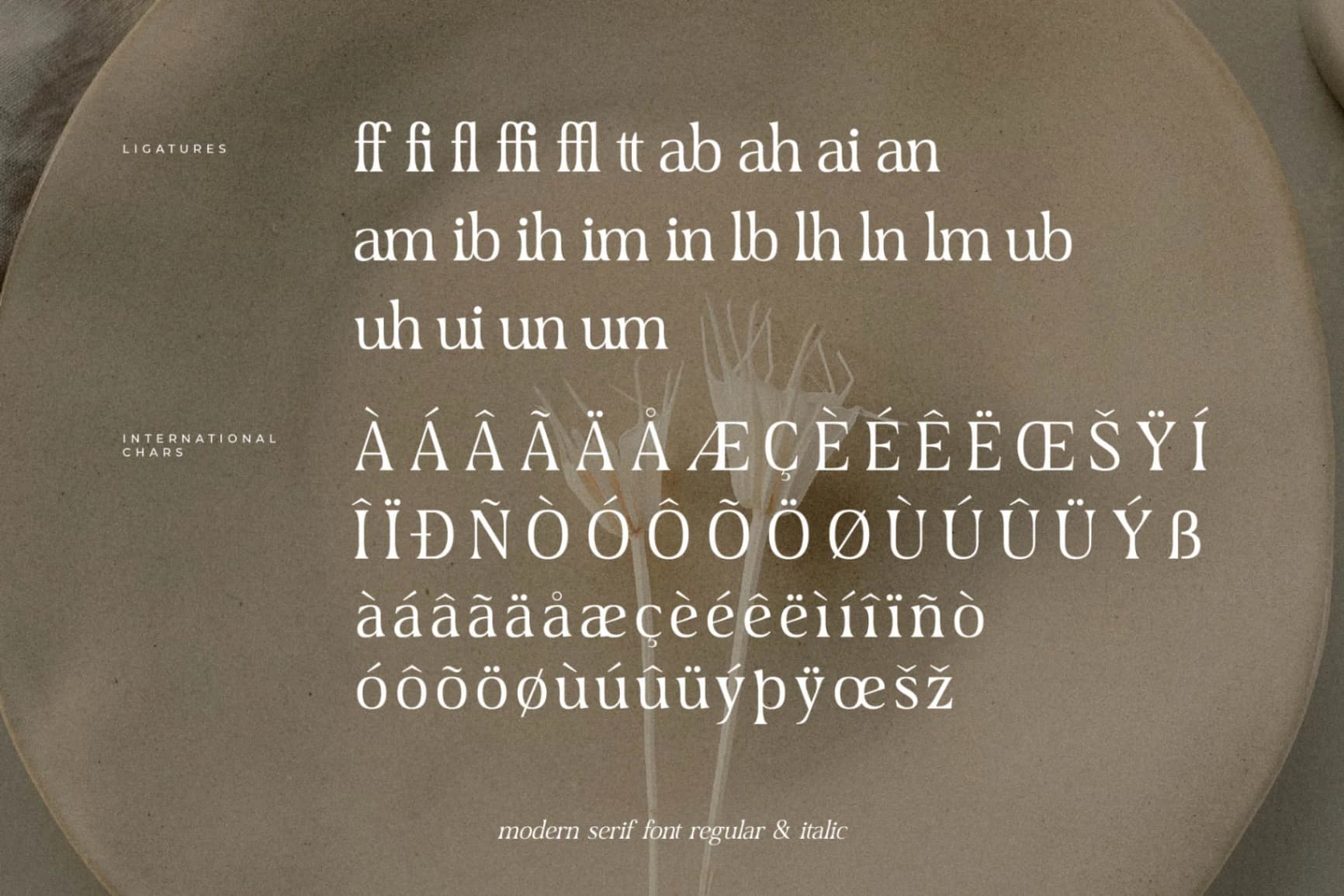 Preview 14 for Dairing - Modern Serif Font