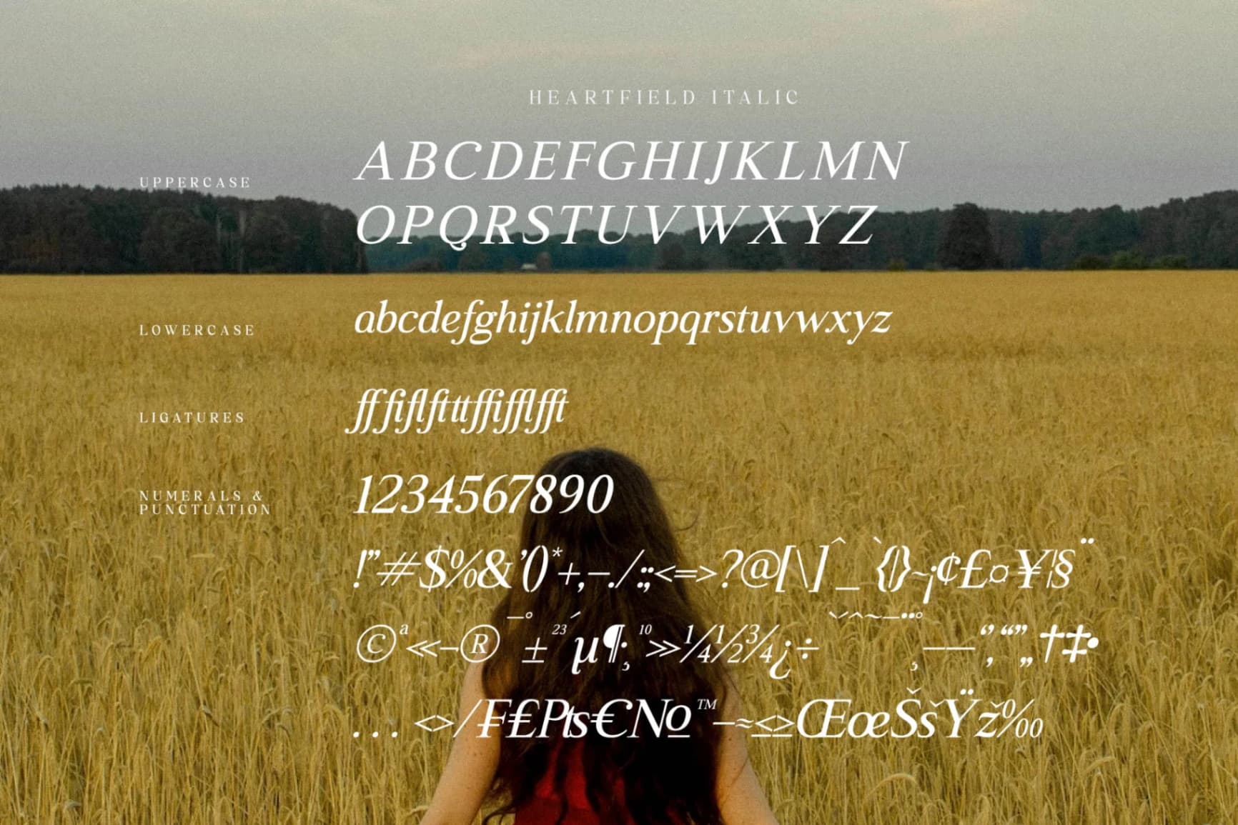 Preview 14 for Heartfield - Modern Serif Font