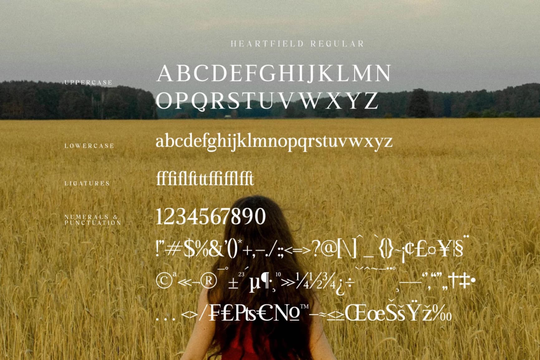 Preview 13 for Heartfield - Modern Serif Font