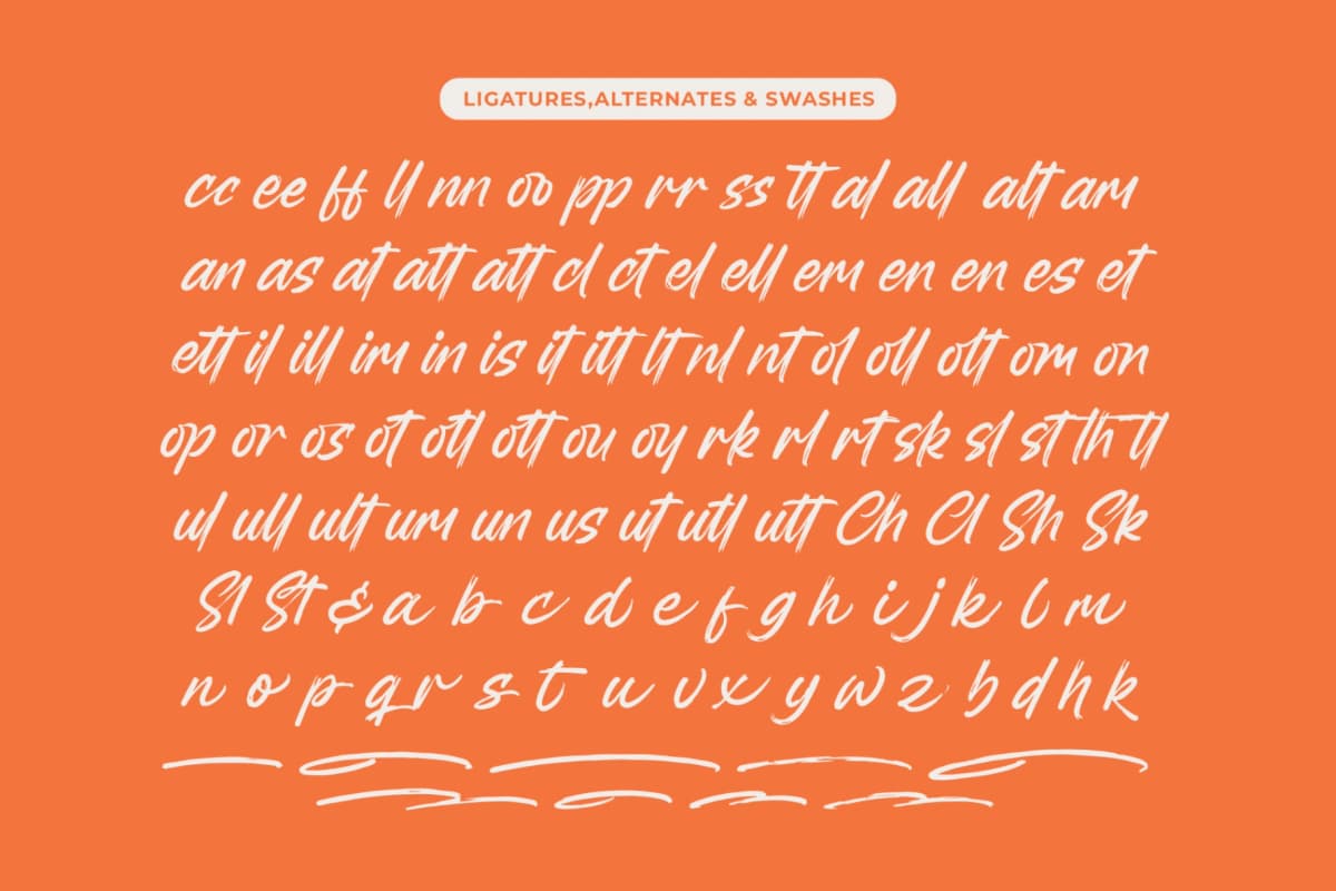 Backline Marker - Texture Brush Font font preview 18