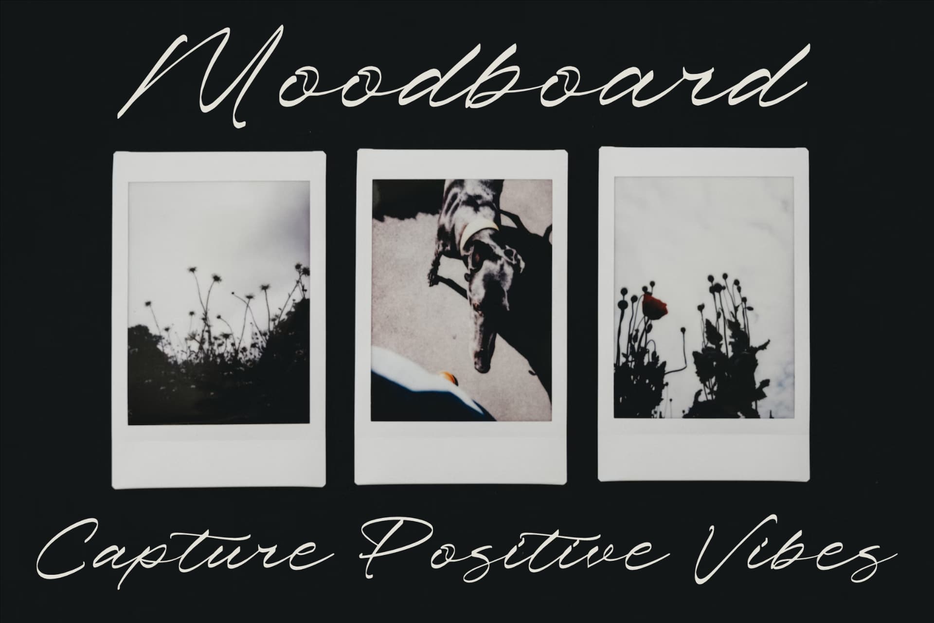 Preview 9 for Pharellia Redusha - A Modern Script Font