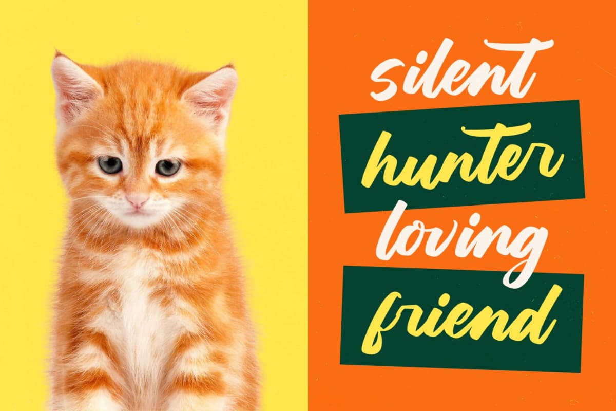 Hunting Gather - Bold Handwritten Font font preview 8