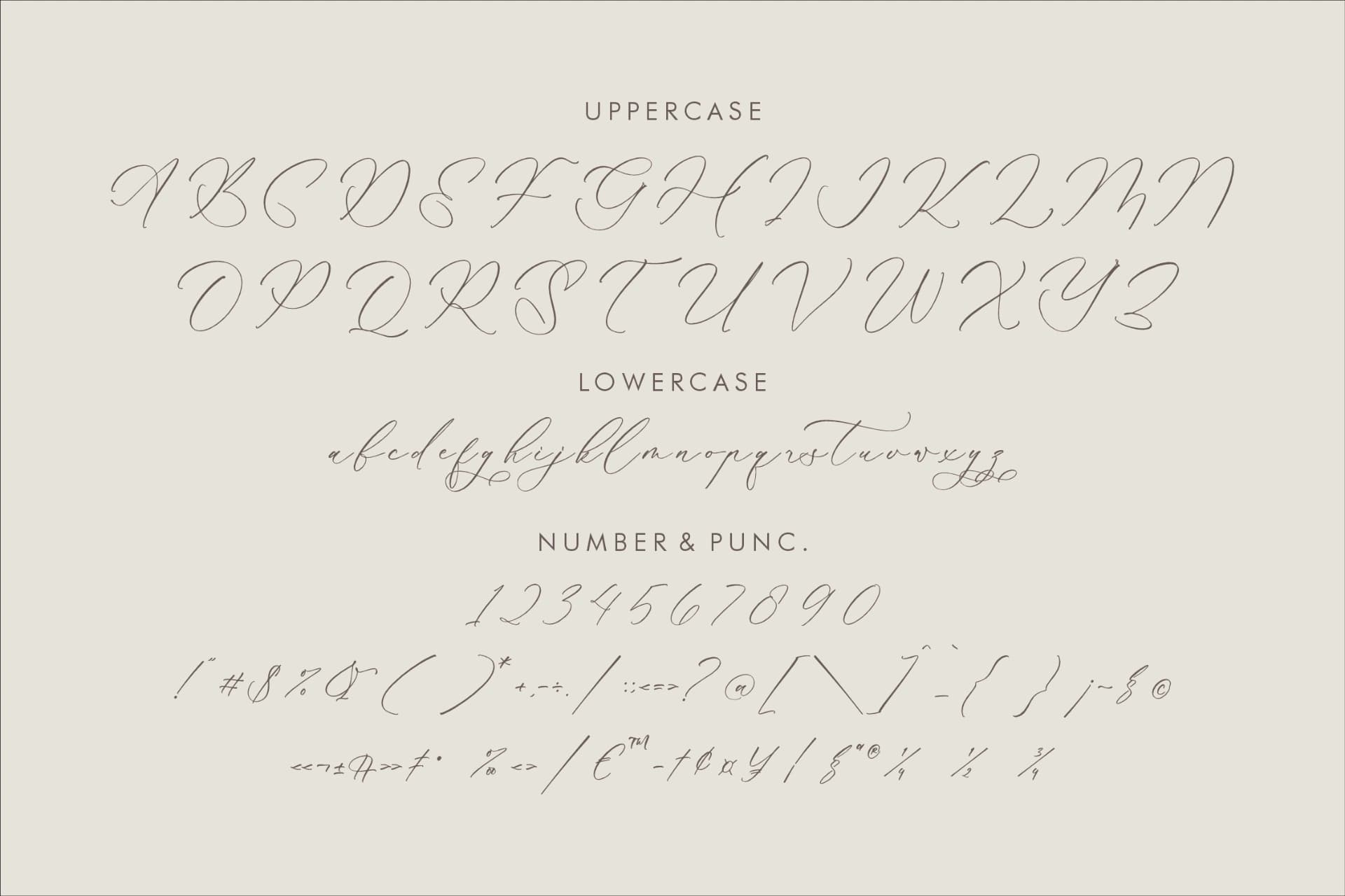 Preview 12 for Kalneitta Aldonite - Chic Calligraphy Font