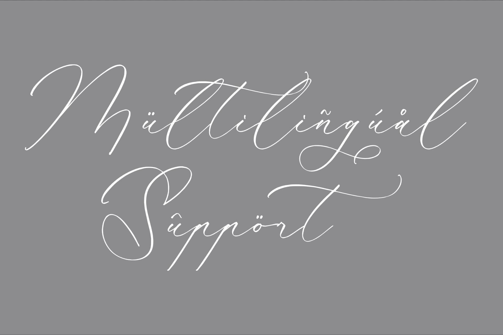 Preview 11 for Kalneitta Aldonite - Chic Calligraphy Font