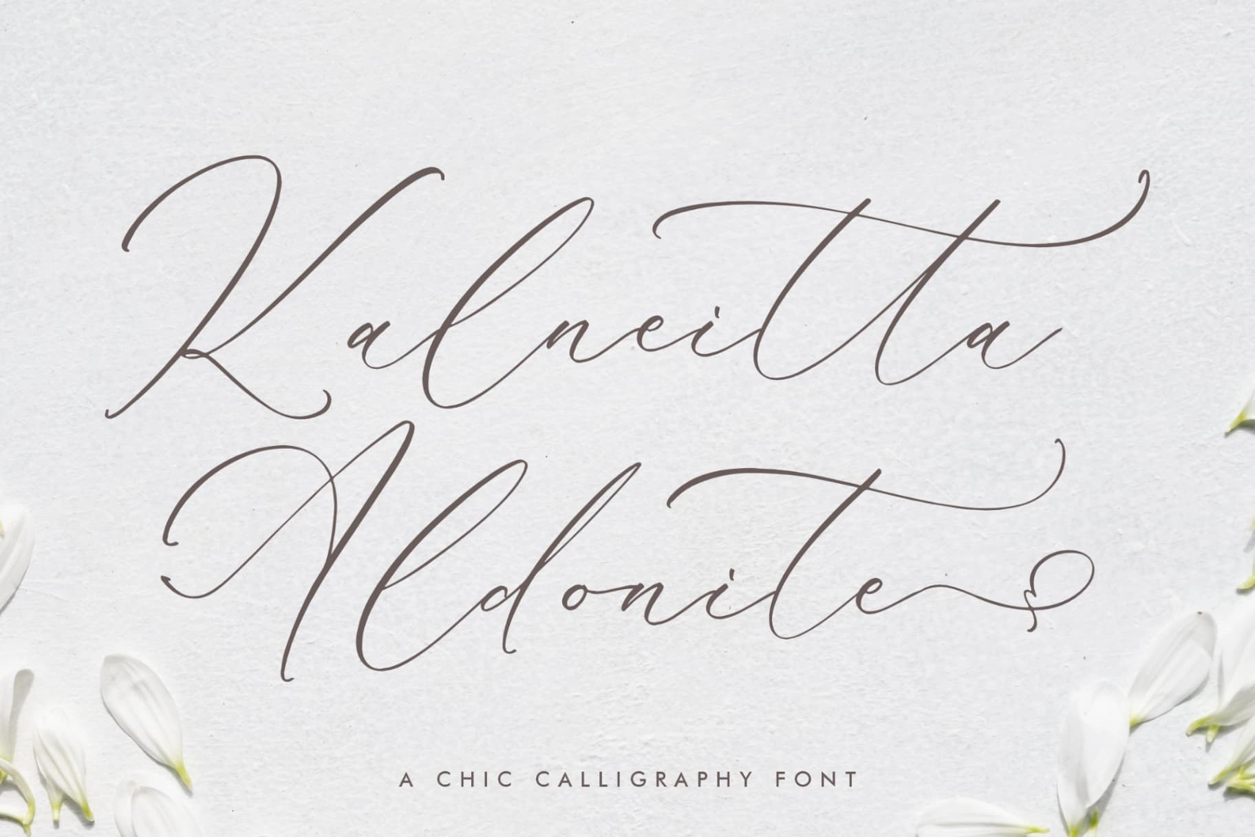 Preview of Kalneitta Aldonite - Chic Calligraphy Font font