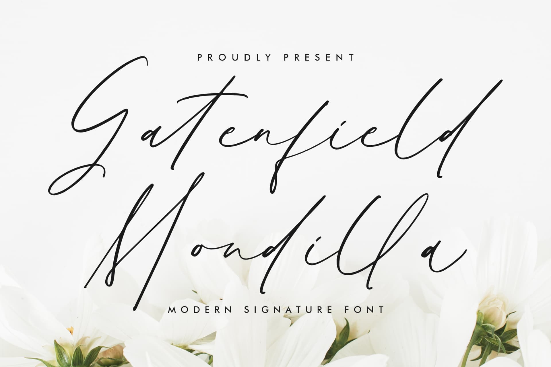 Preview of Gatenfield Mondilla - Modern Signature Font font