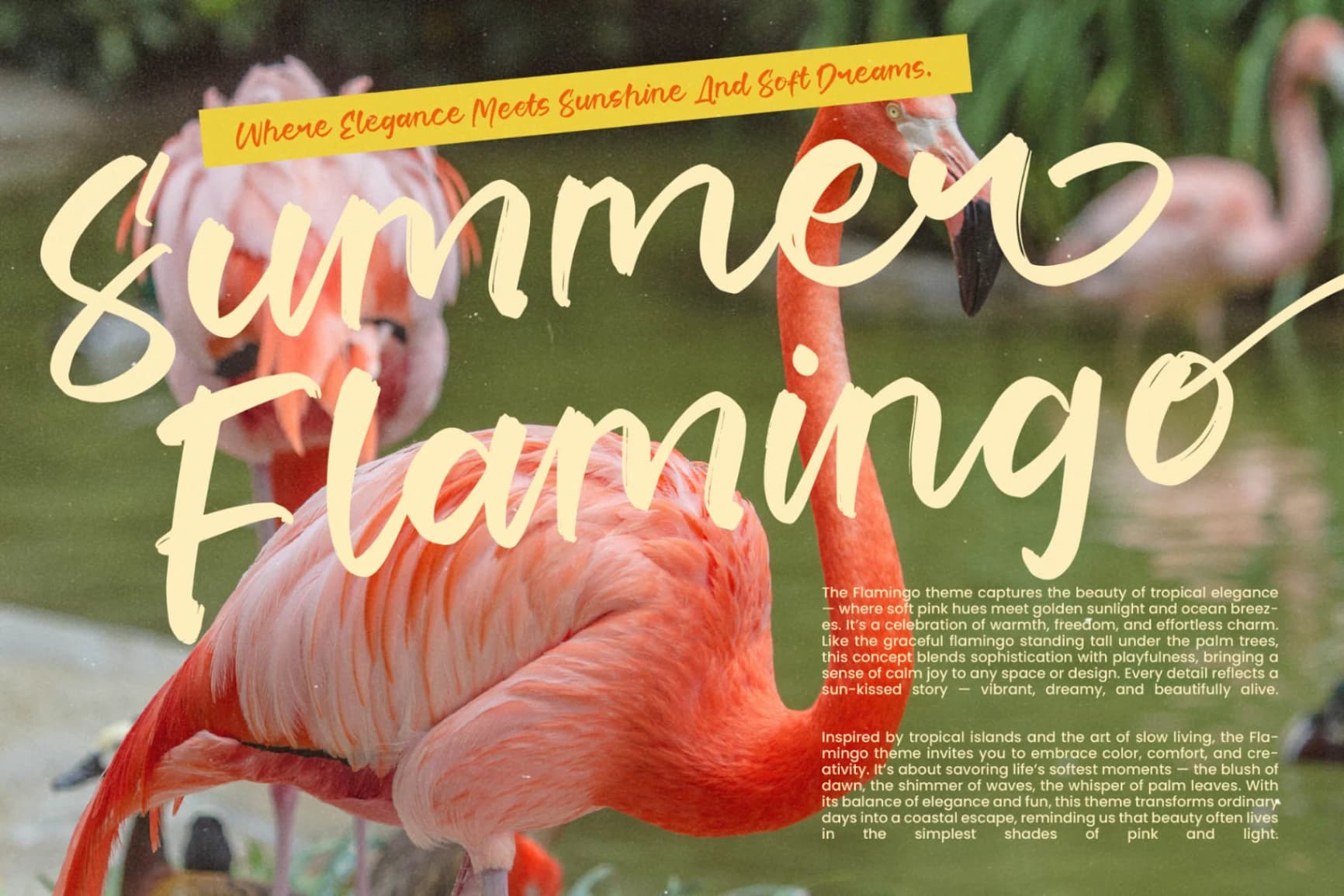 Preview 8 for Lemon Talk - Modern Handbrush Font