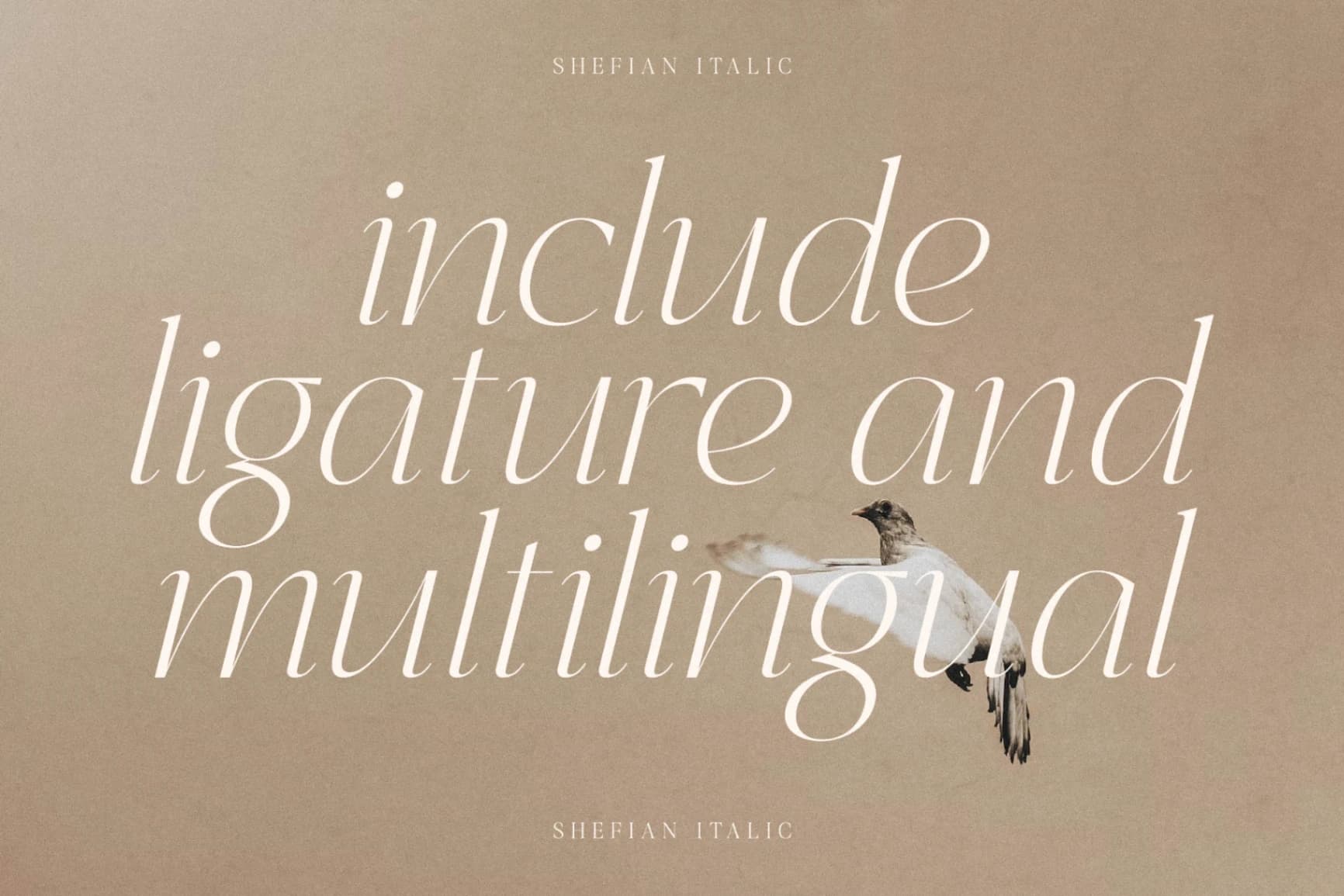 Preview 5 for Shefian - Modern Serif Font