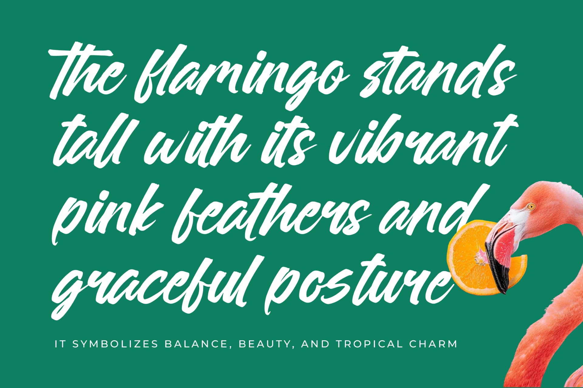 Preview 9 for Sattyne Bregast - Bold Brush Font Type