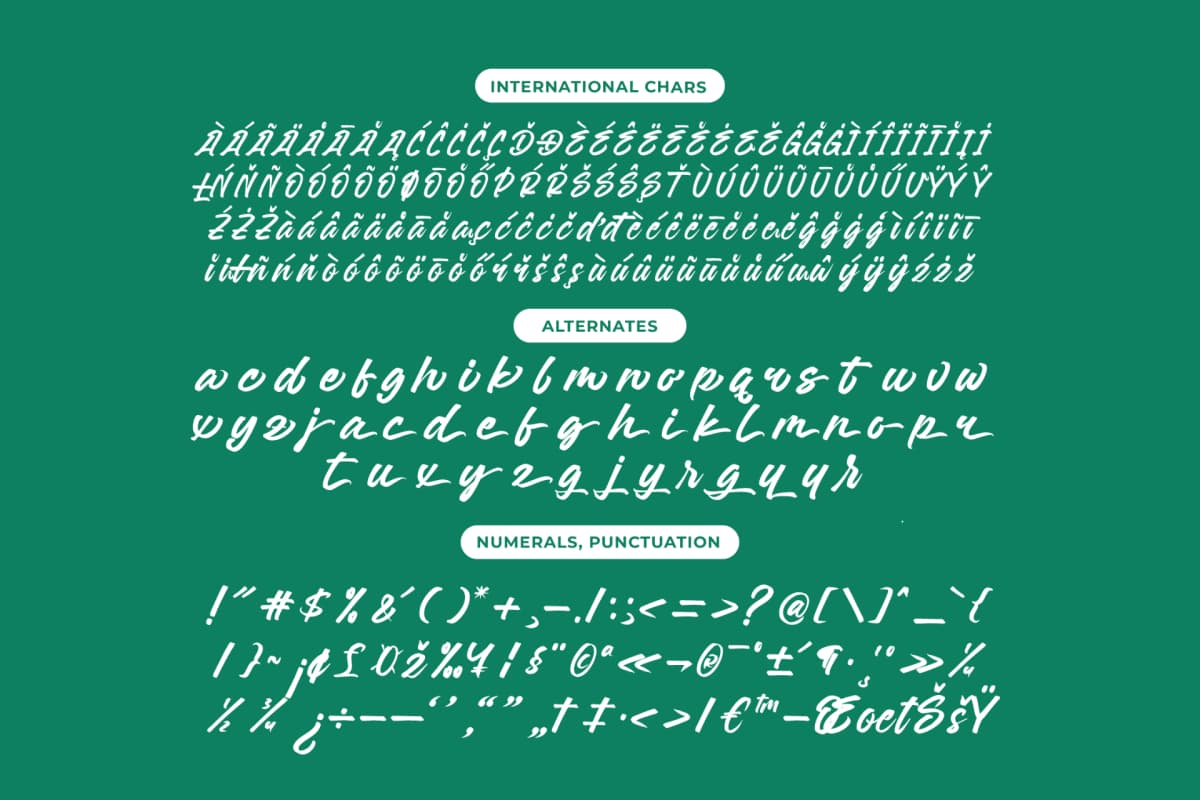 Preview 13 for Sattyne Bregast - Bold Brush Font Type