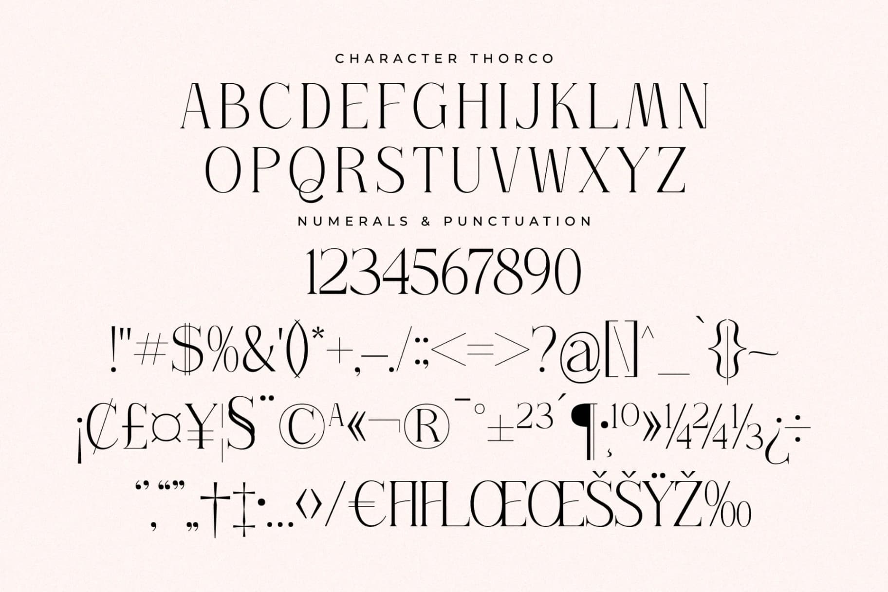 Preview 13 for Thorco - New Display Serif Font