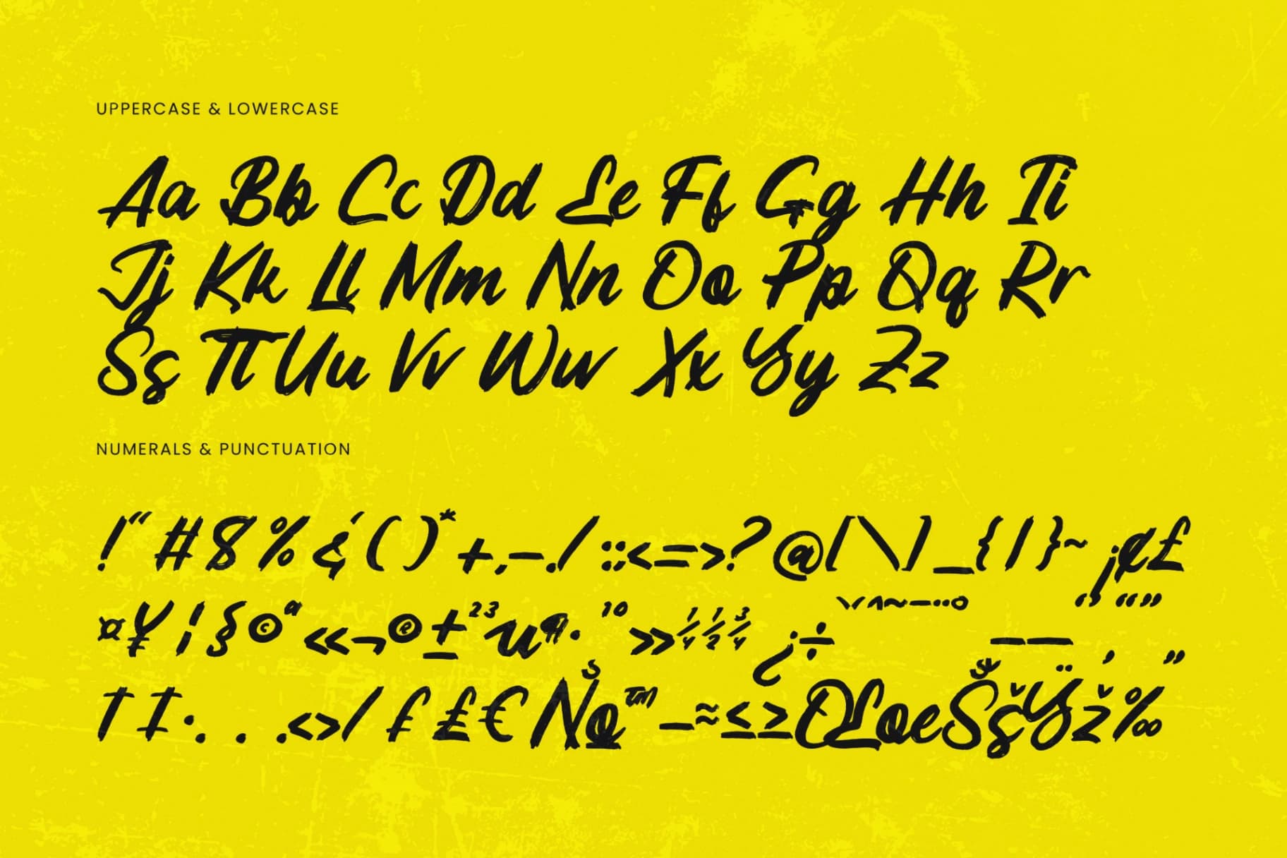 Preview 10 for Highlag Theflora - Modern Brush Font