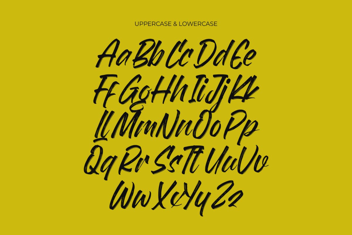 Preview 10 for Flackin Bruska - Modern Brush Font