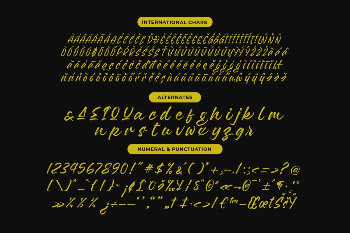 Preview 13 for Flackin Bruska - Modern Brush Font